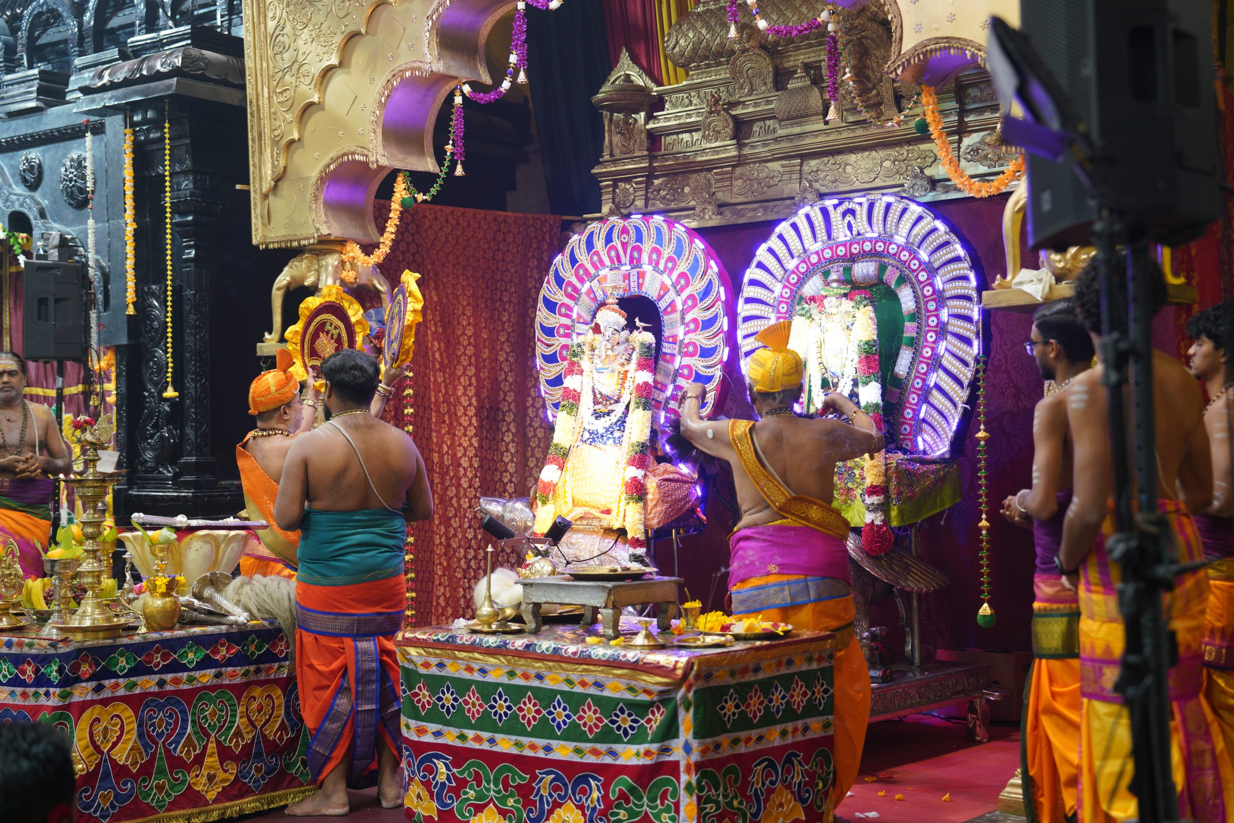 Festival 2026 photo