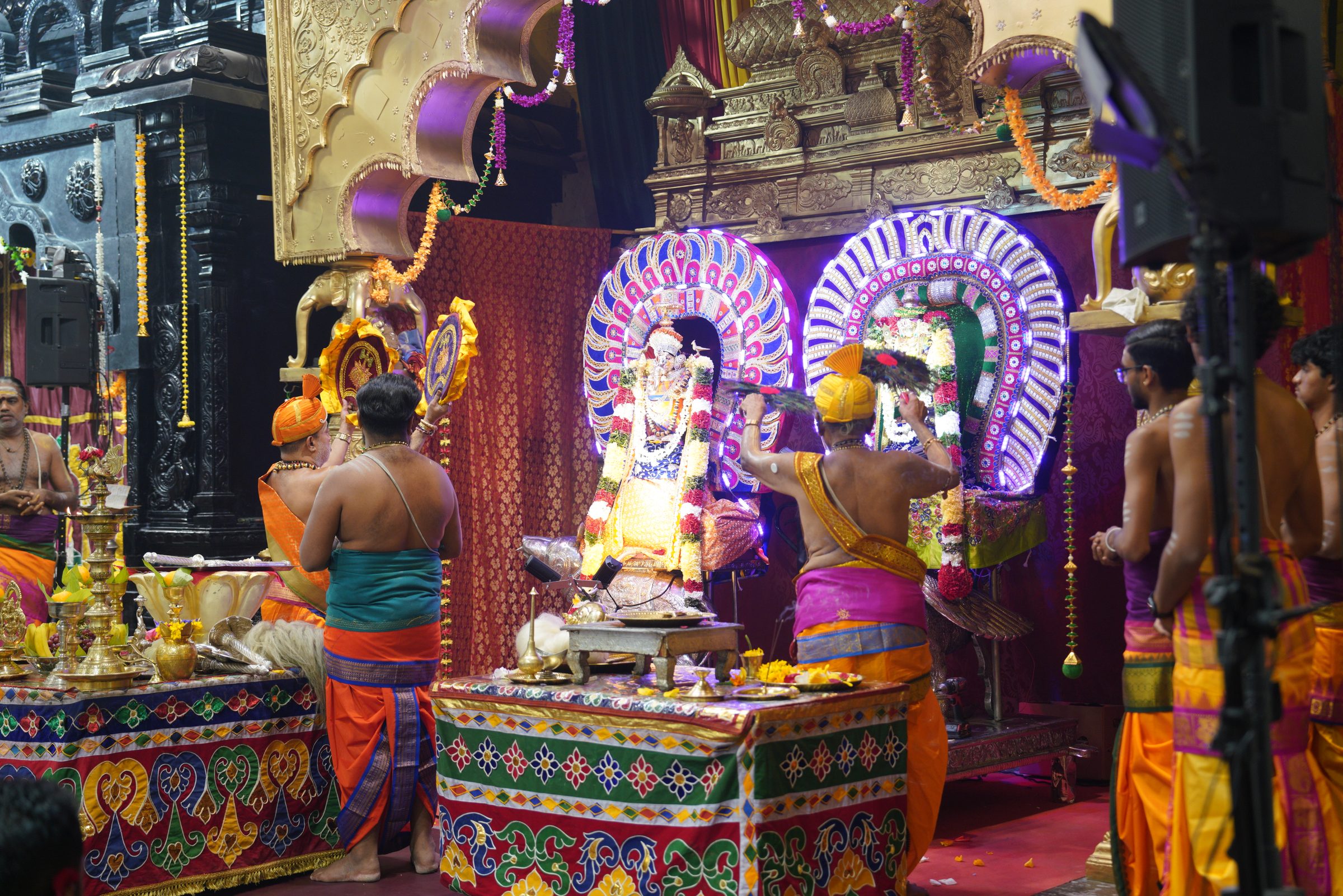 Festival 2026 photo