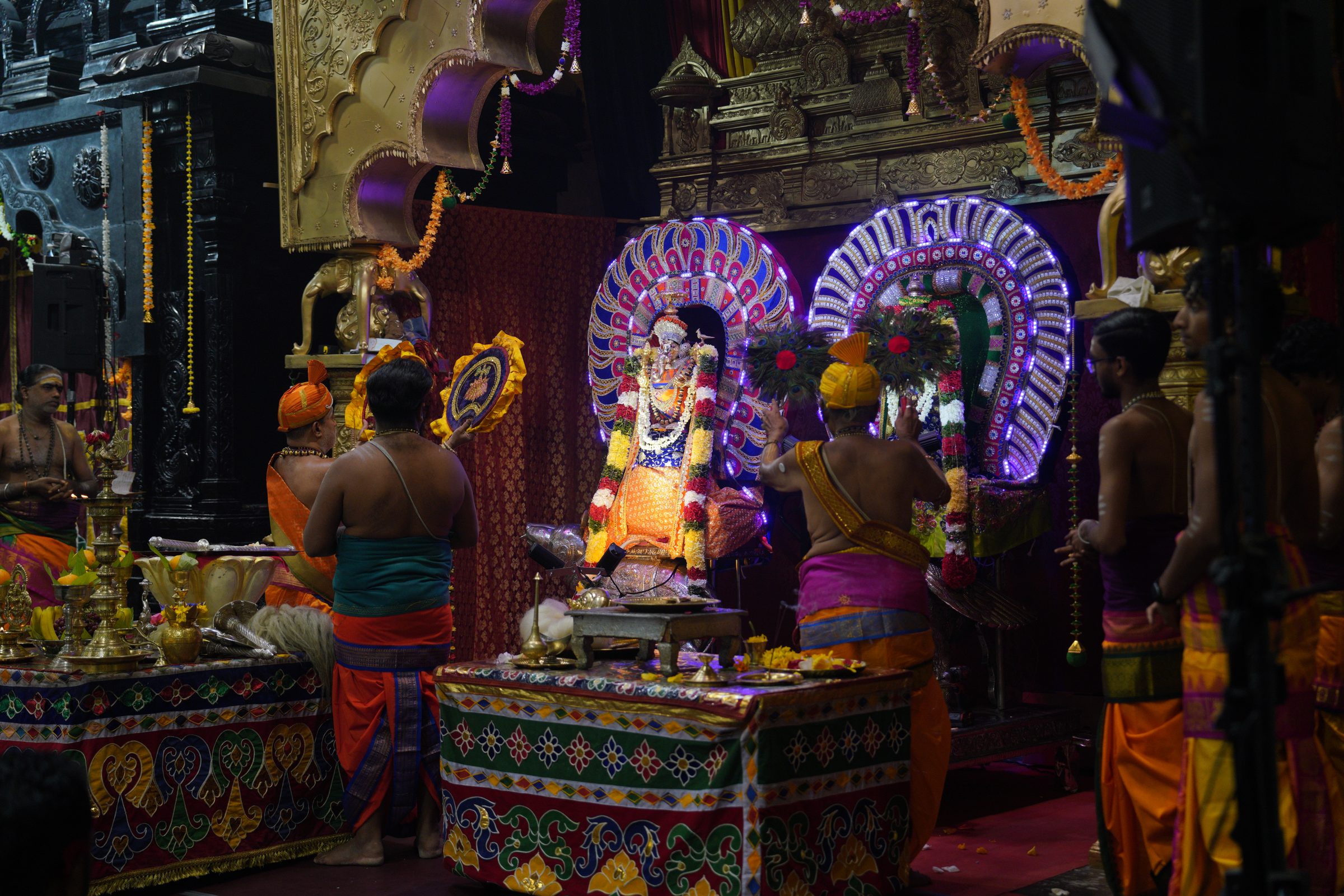 Festival 2026 photo