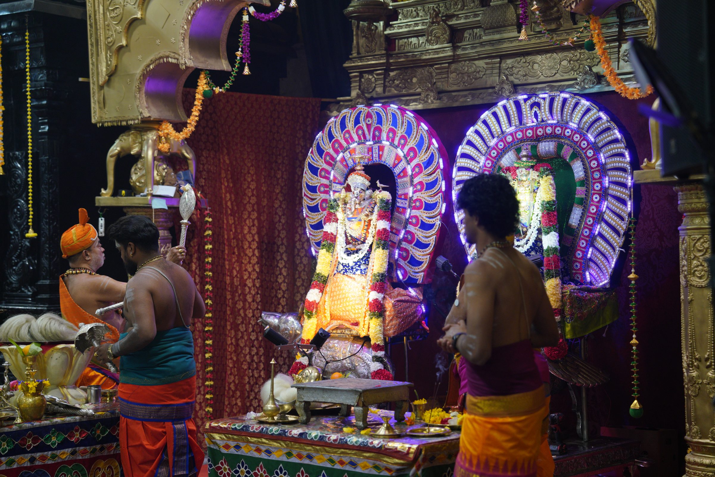 Festival 2026 photo
