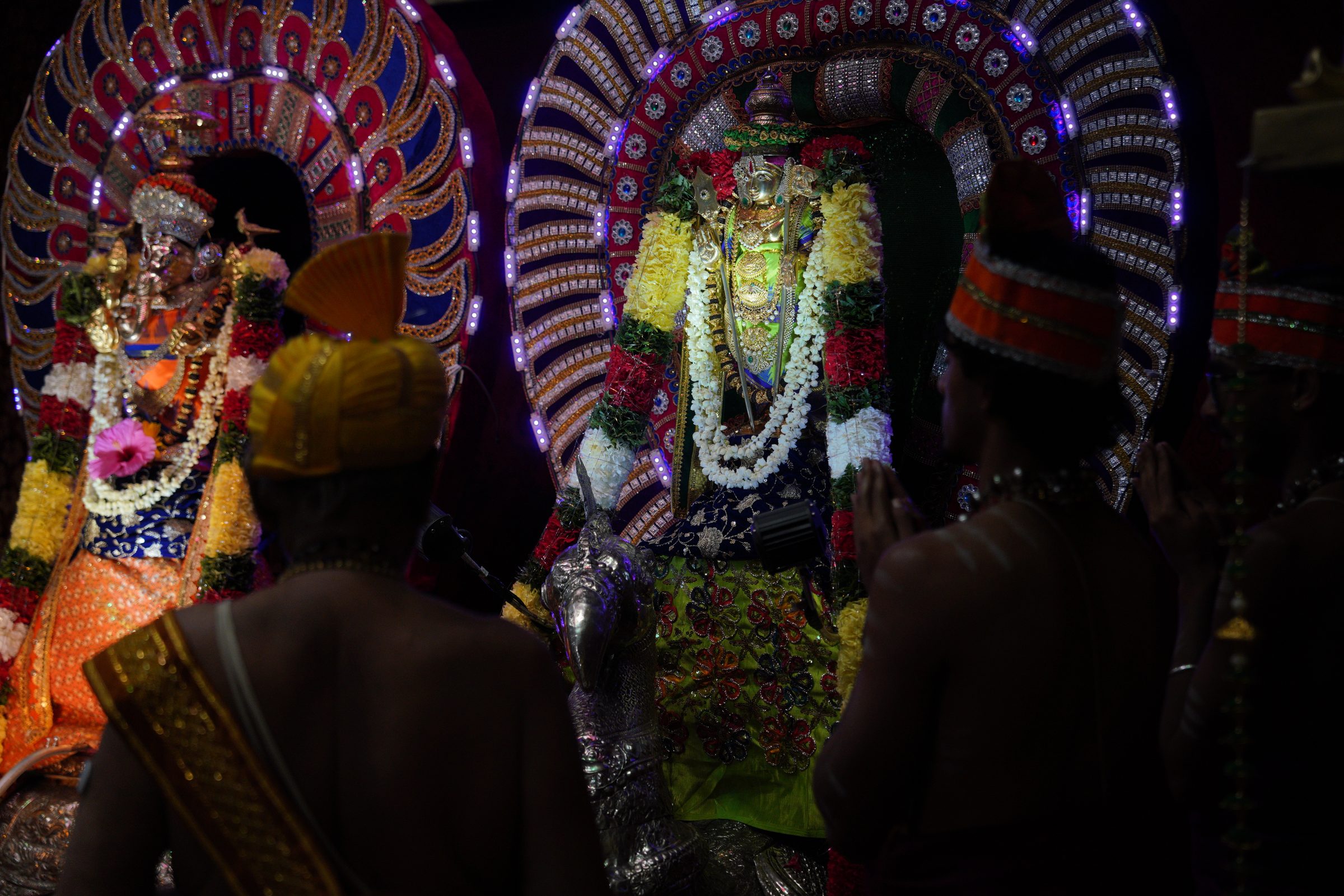 Festival 2026 photo