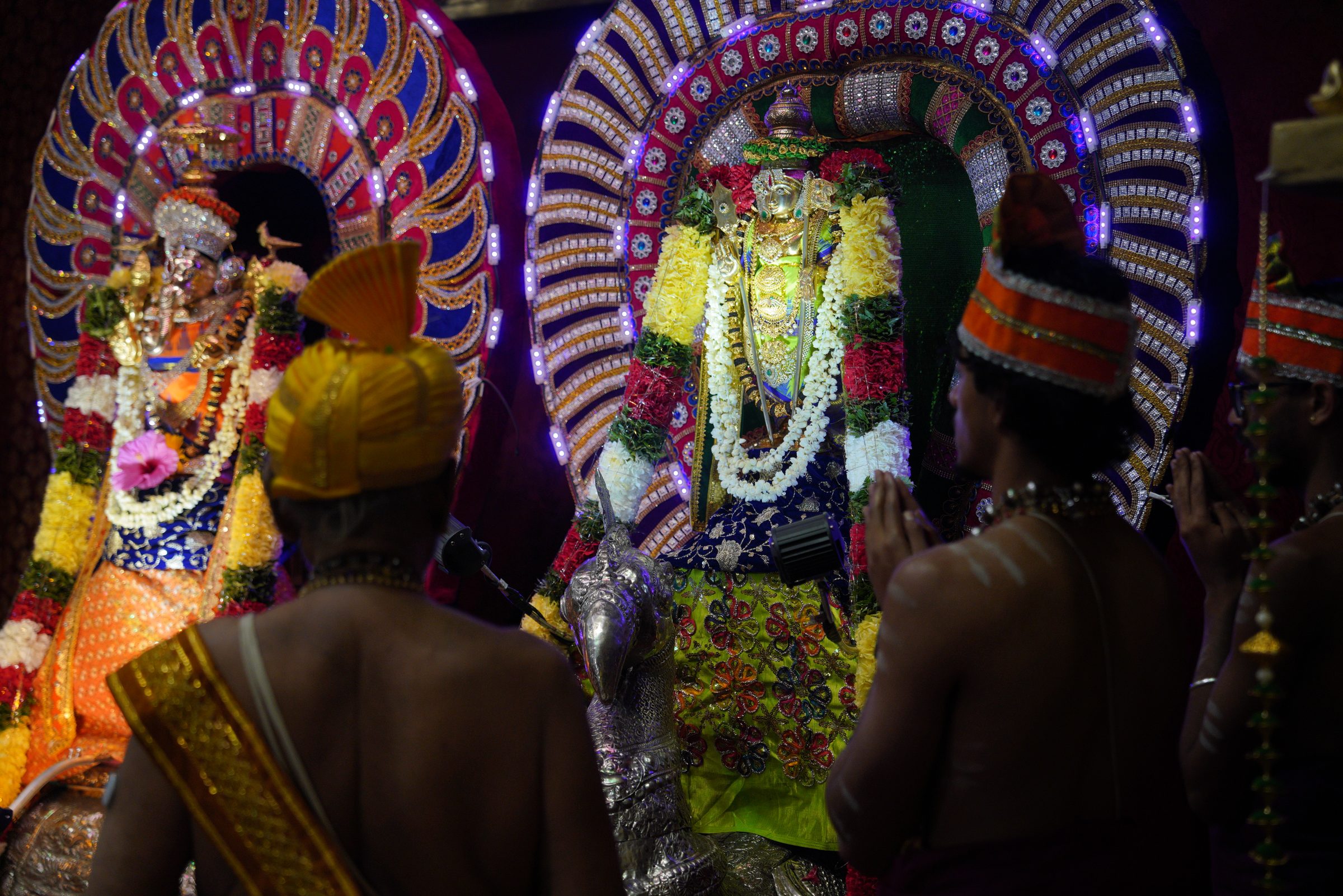 Festival 2026 photo