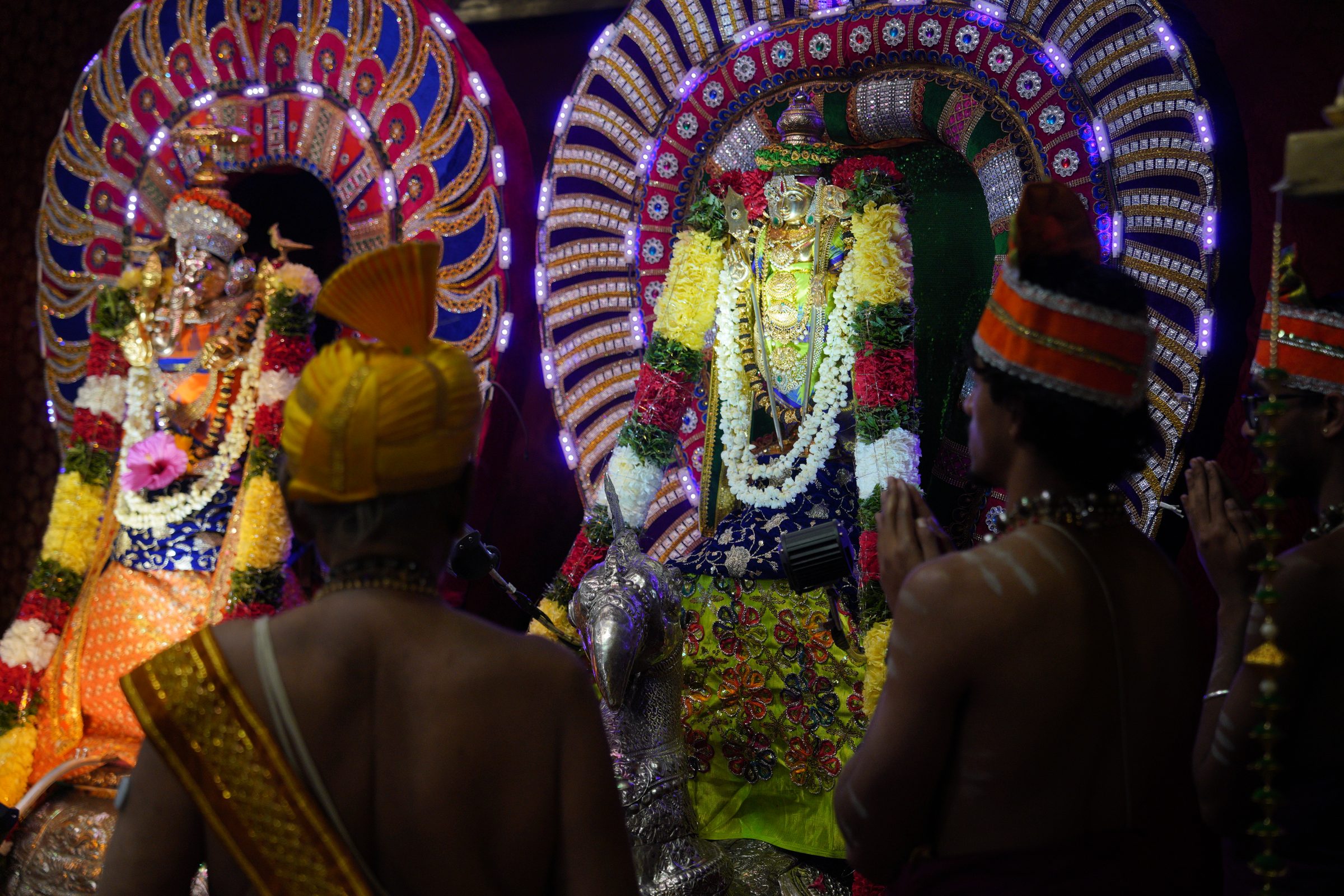 Festival 2026 photo