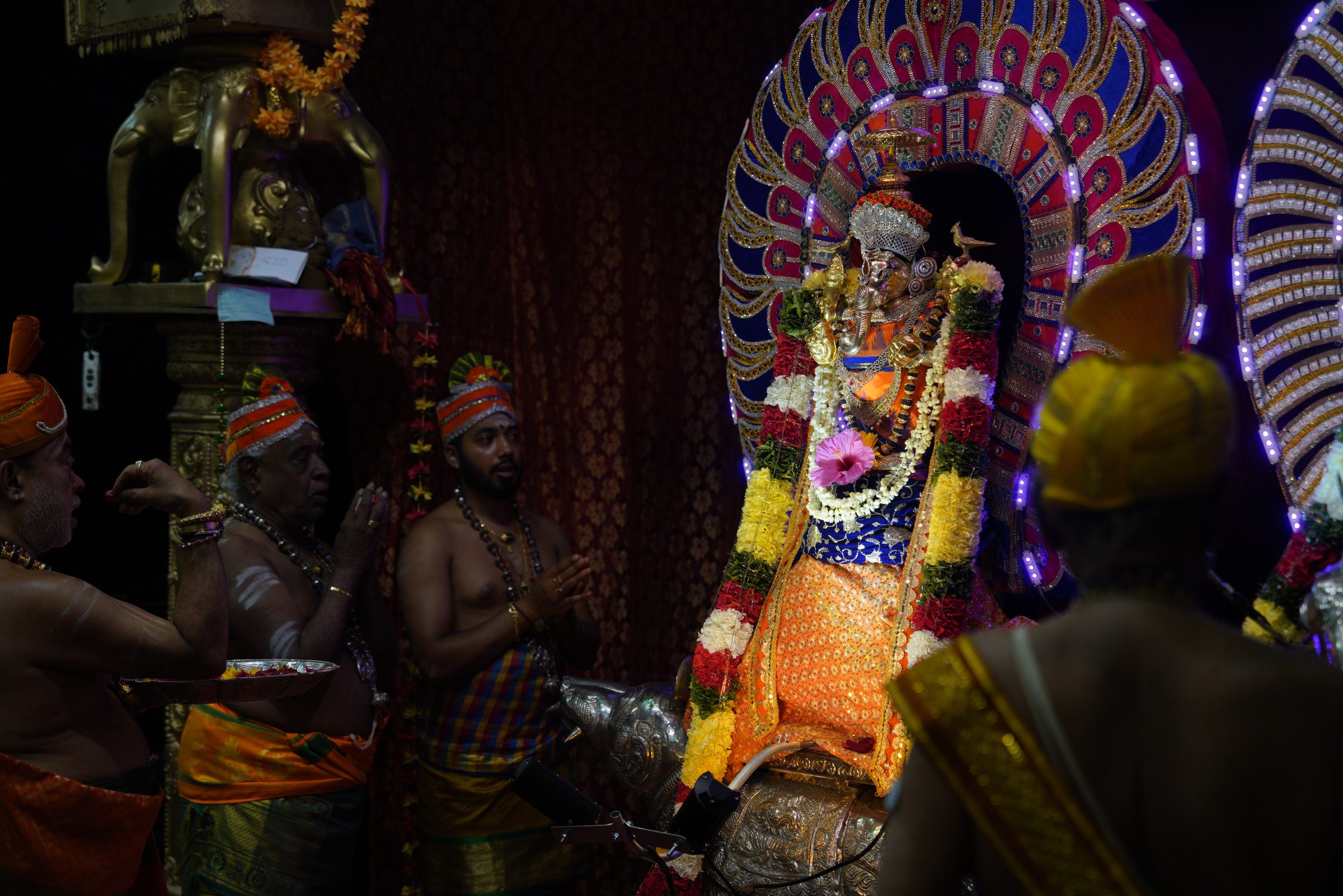 Festival 2026 photo