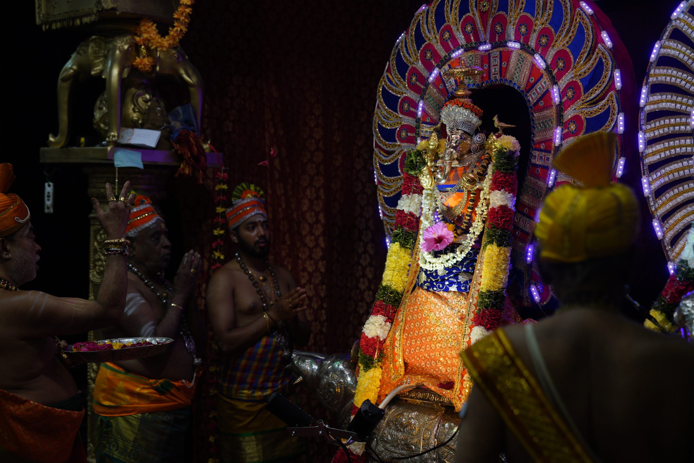 Festival 2026 photo