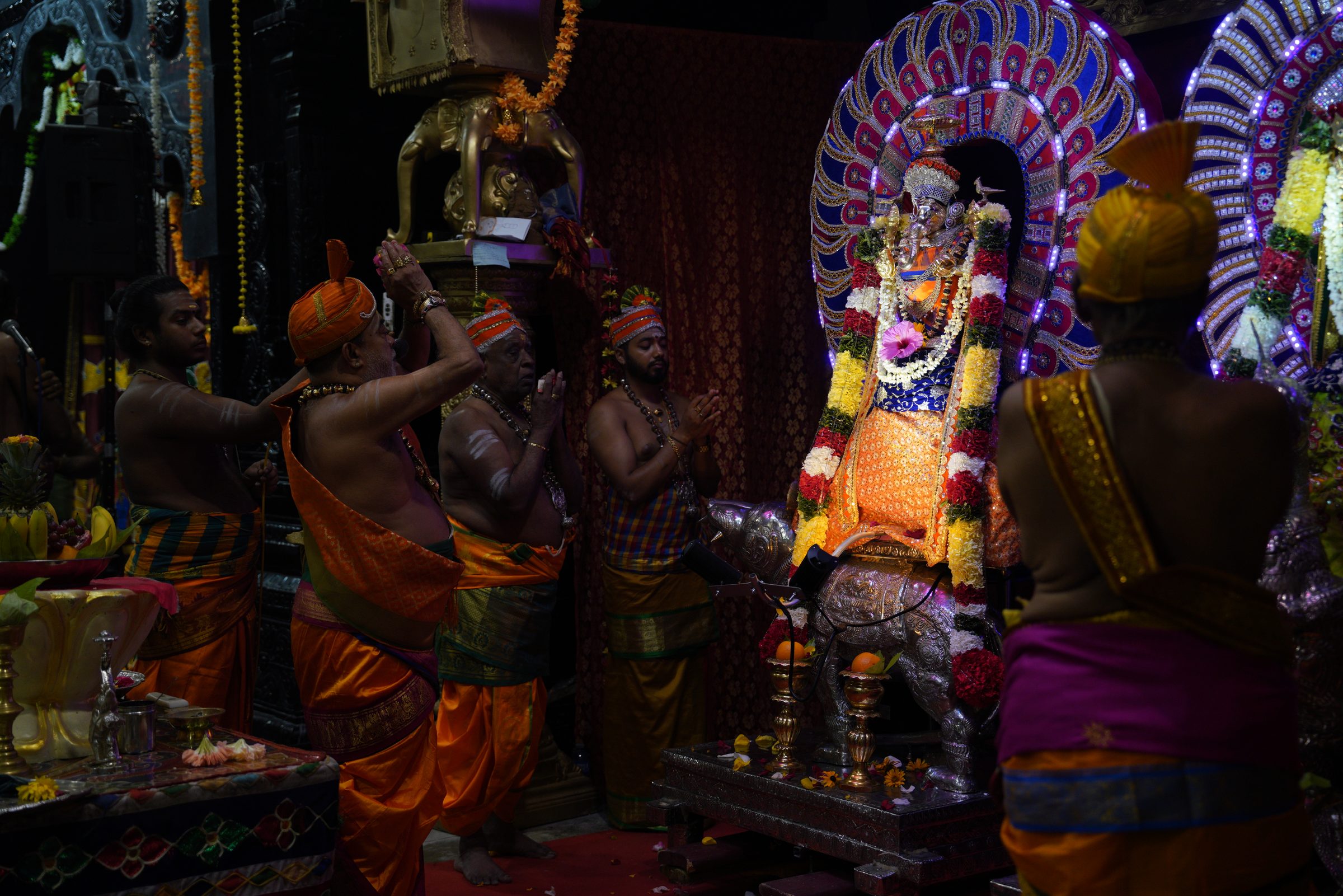 Festival 2026 photo
