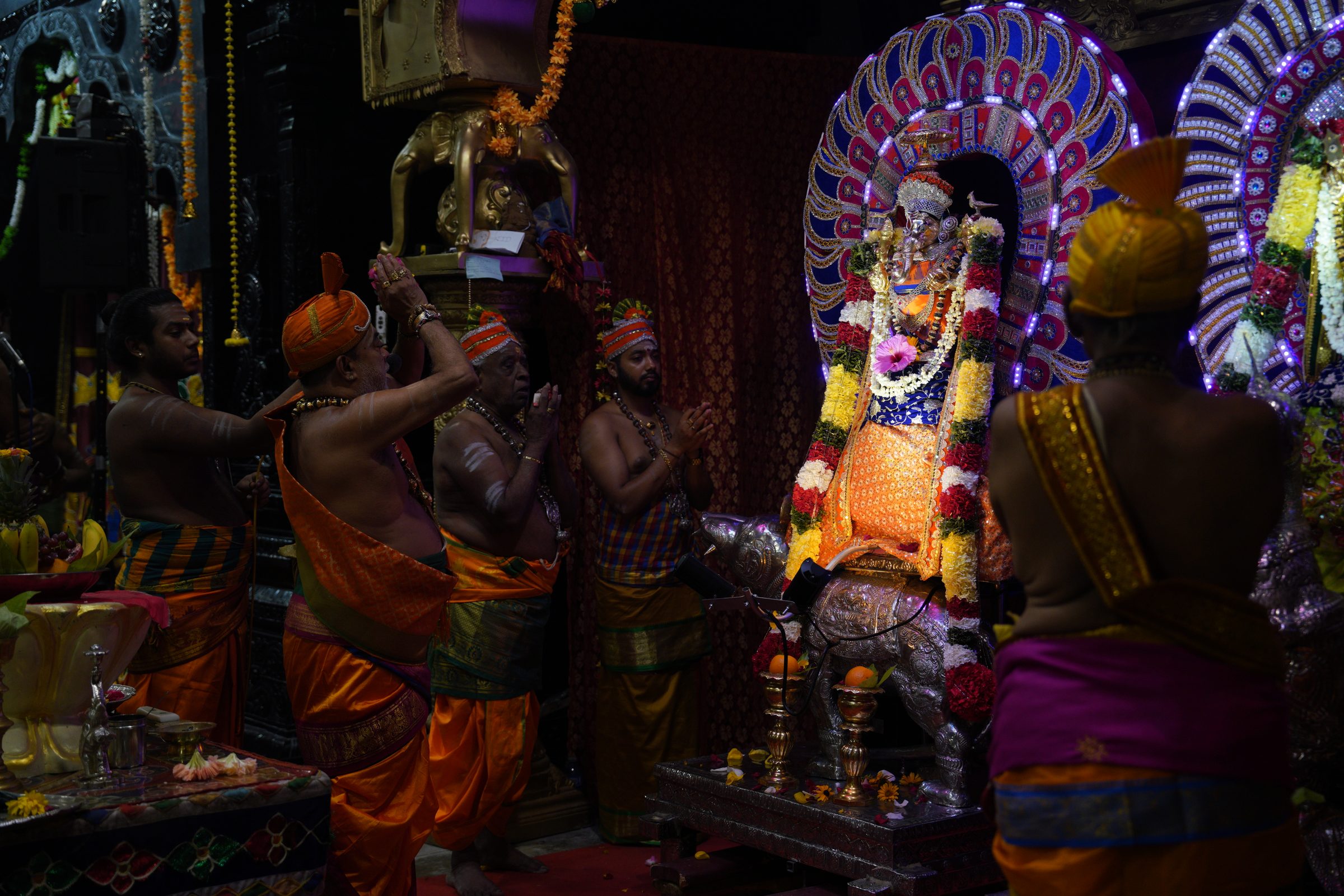 Festival 2026 photo