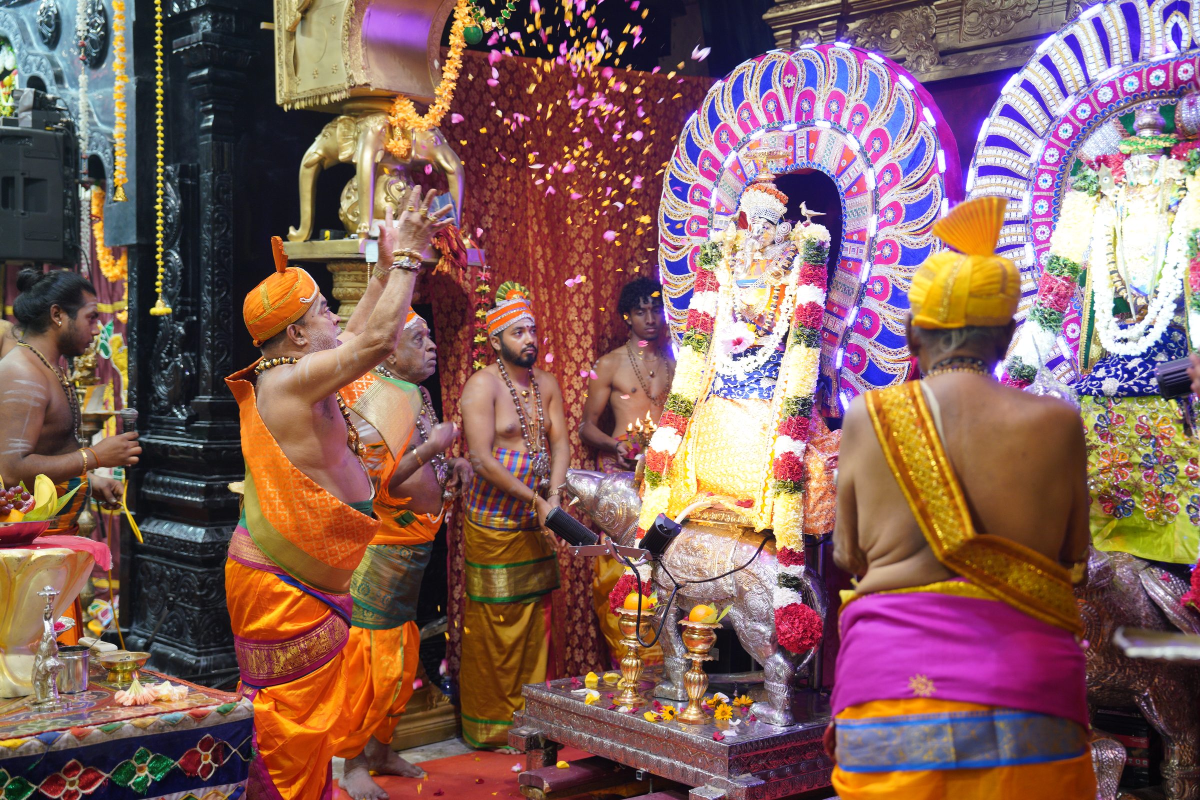 Festival 2026 photo