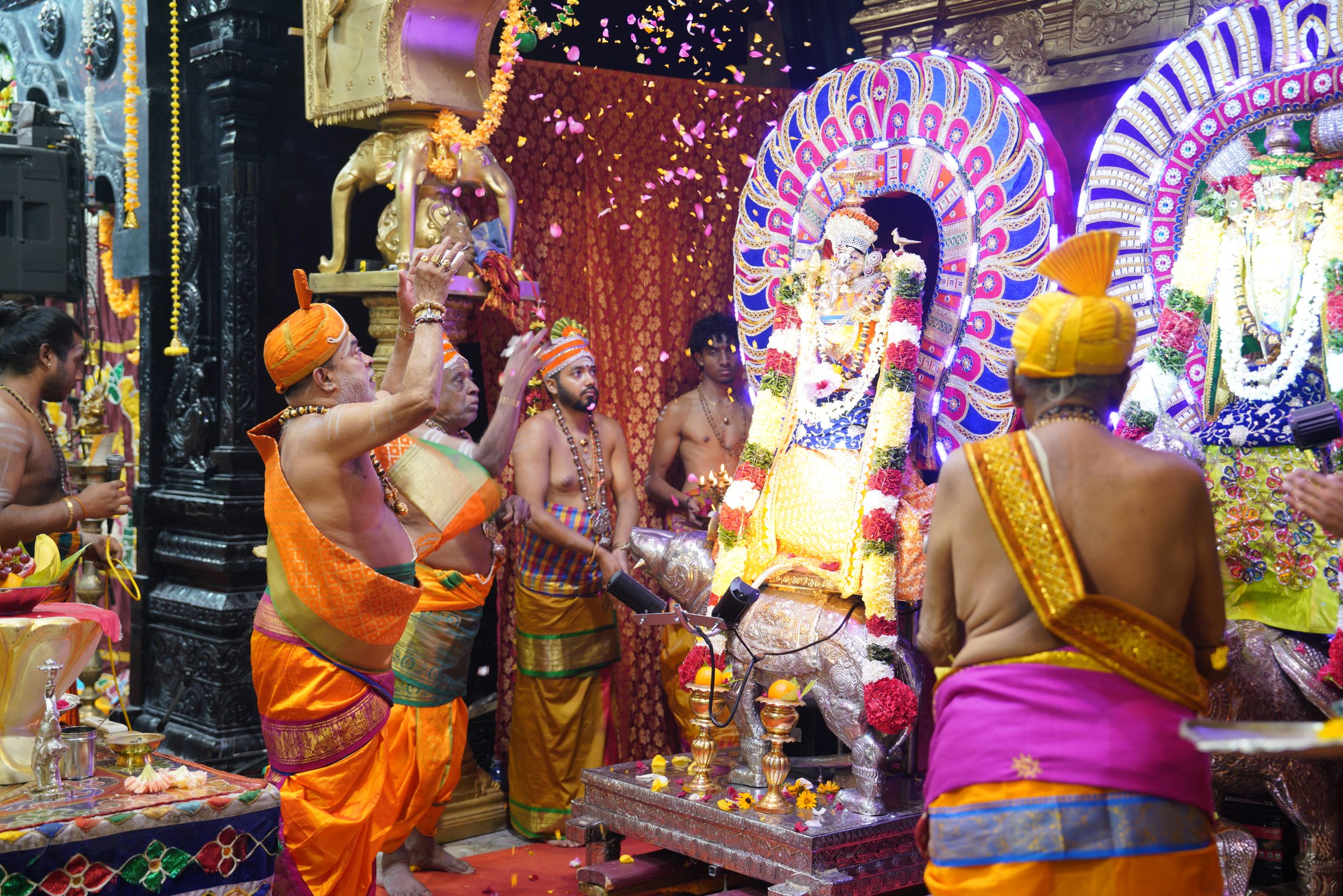 Festival 2026 photo