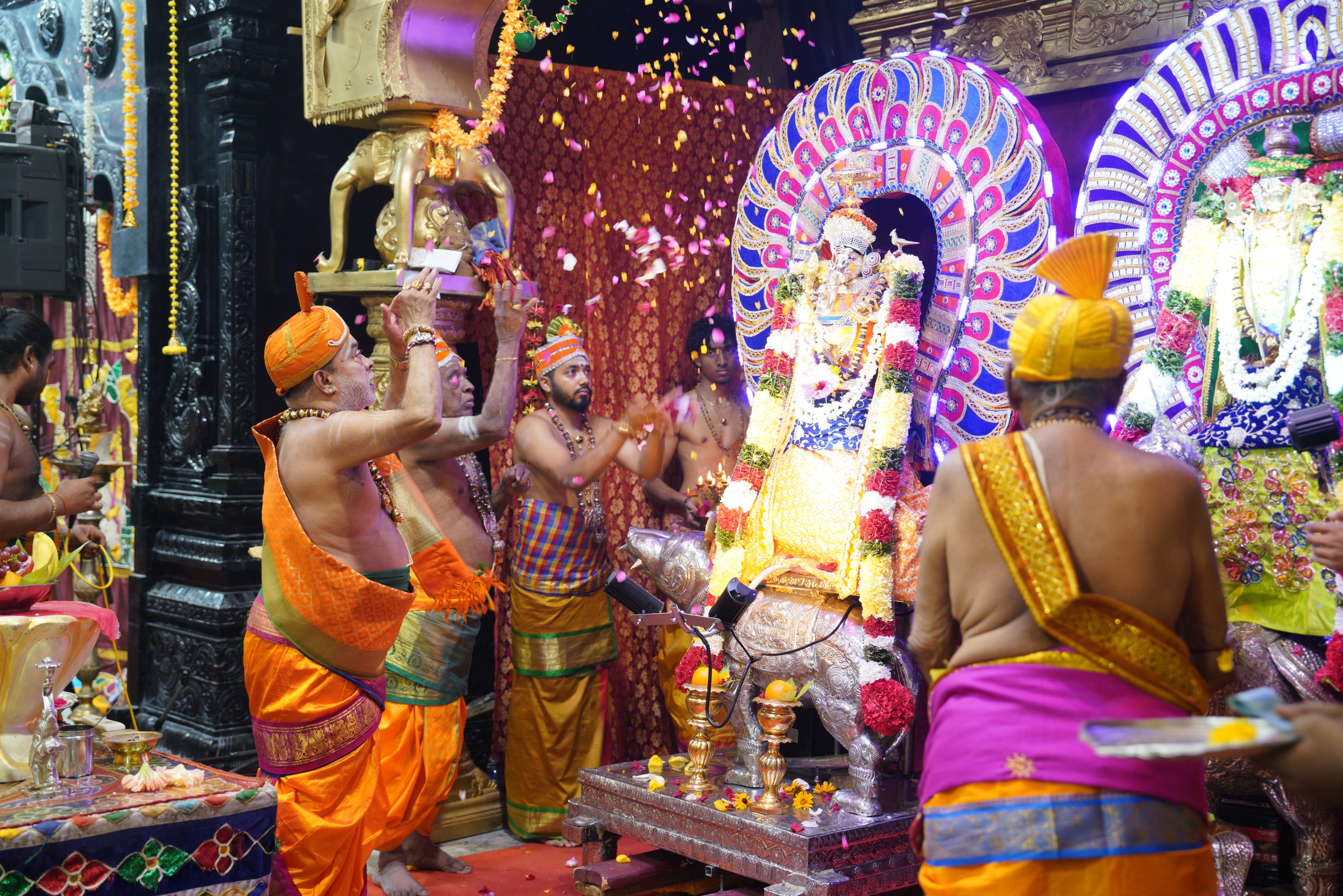 Festival 2026 photo