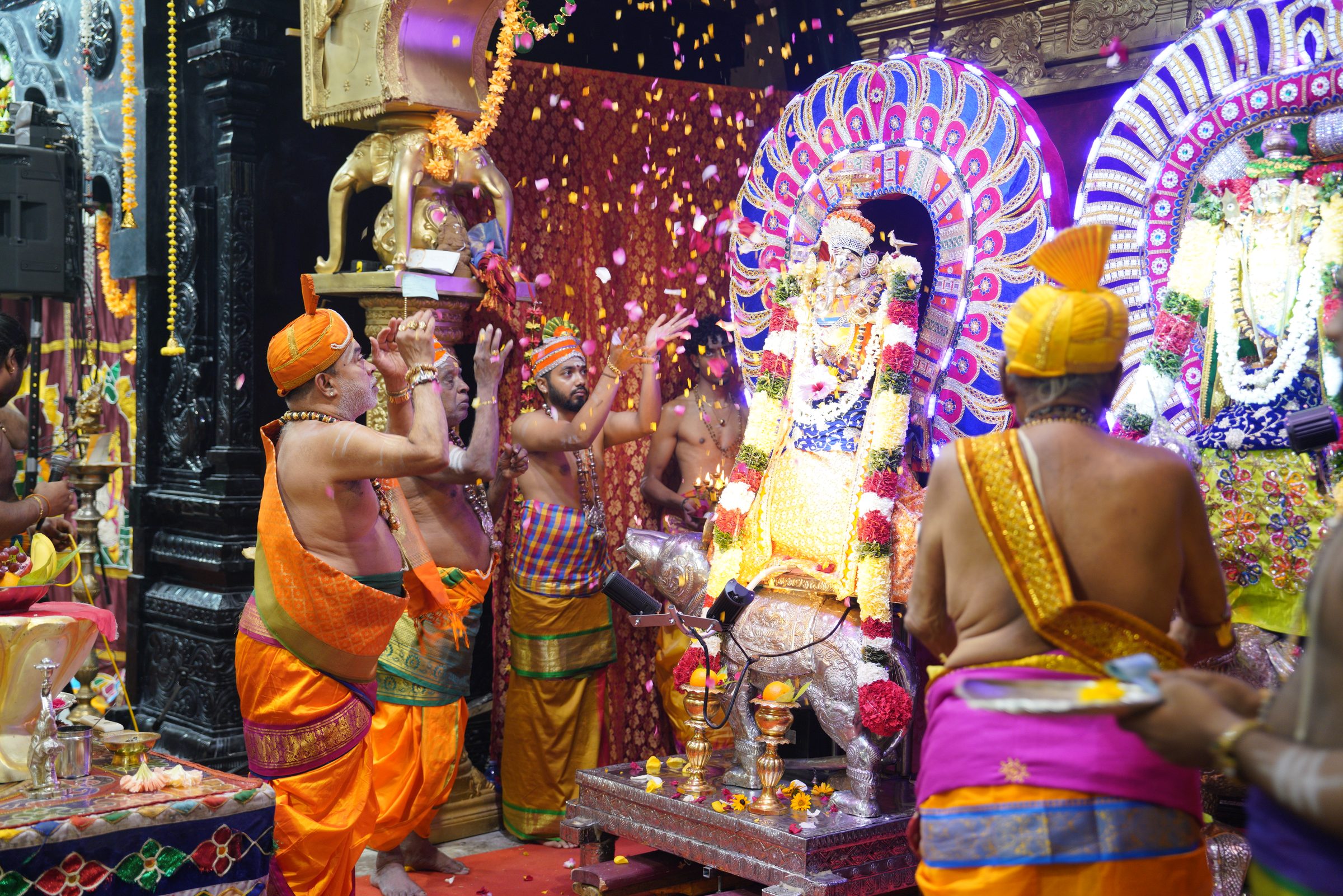 Festival 2026 photo