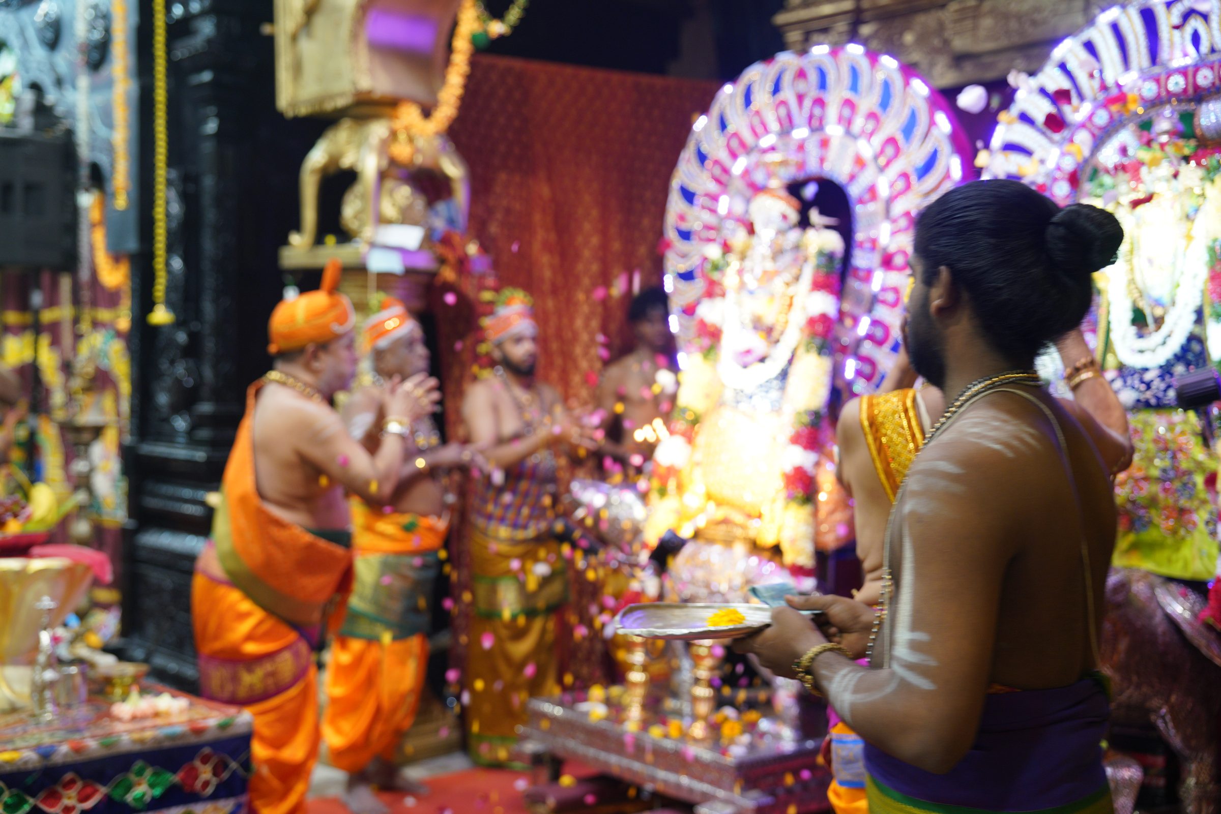Festival 2026 photo