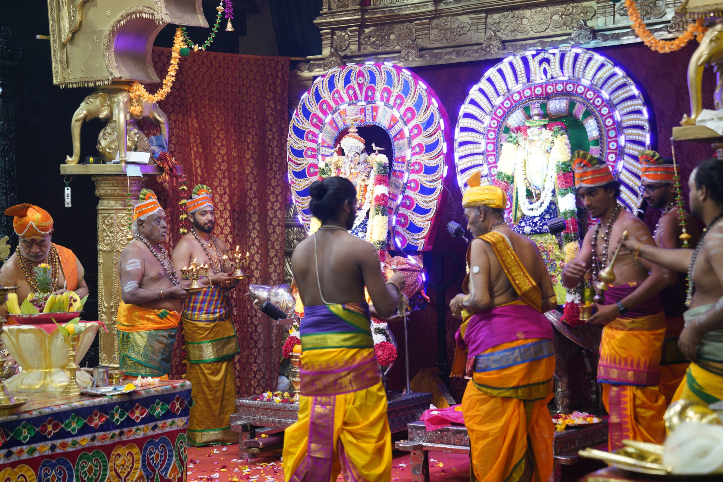 Festival 2026 photo