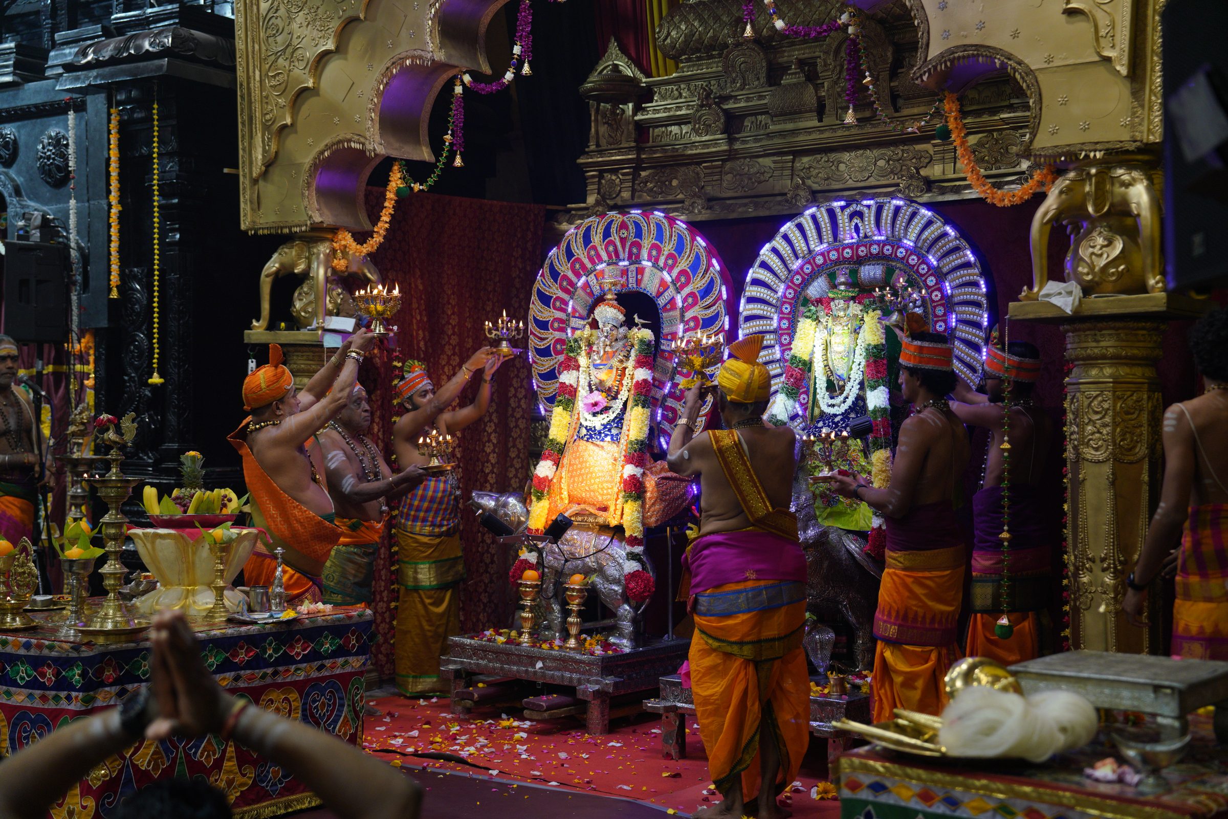 Festival 2026 photo
