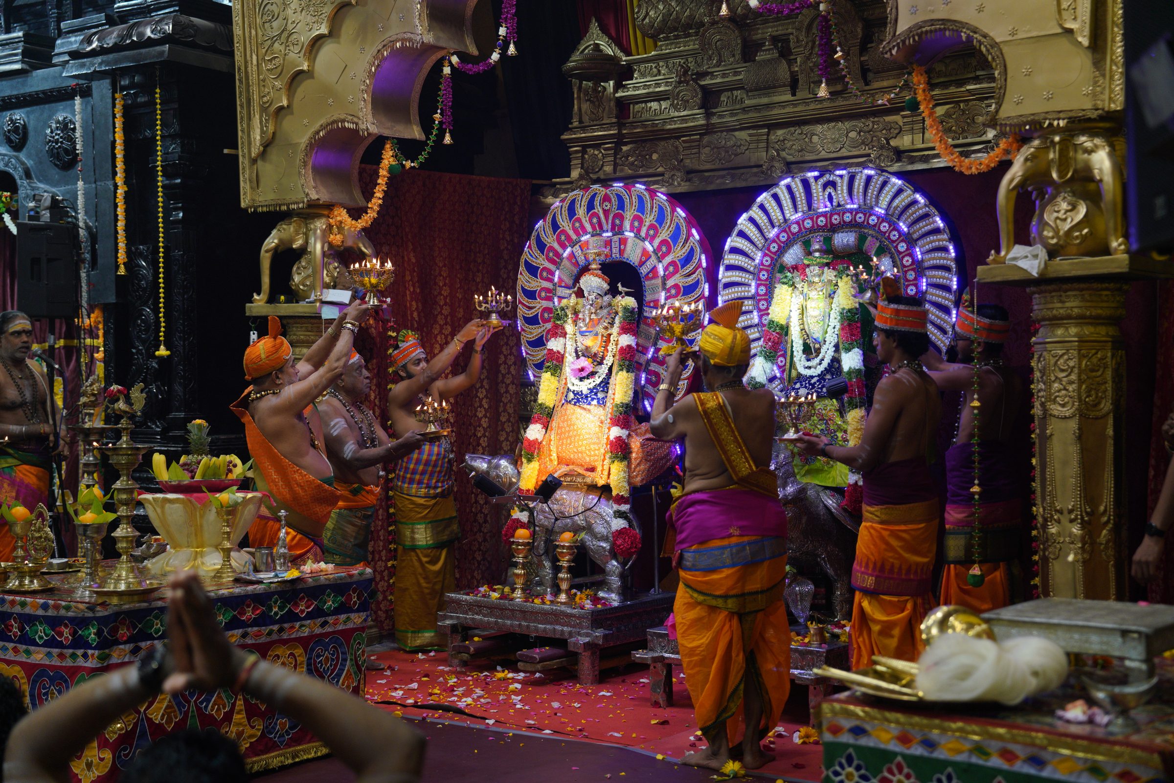 Festival 2026 photo