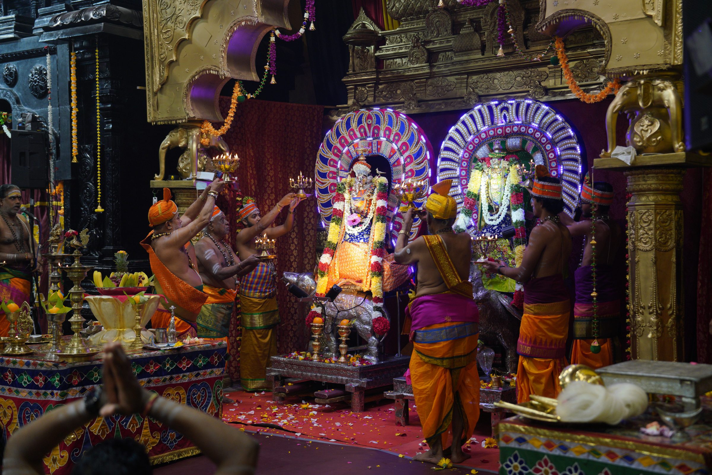 Festival 2026 photo