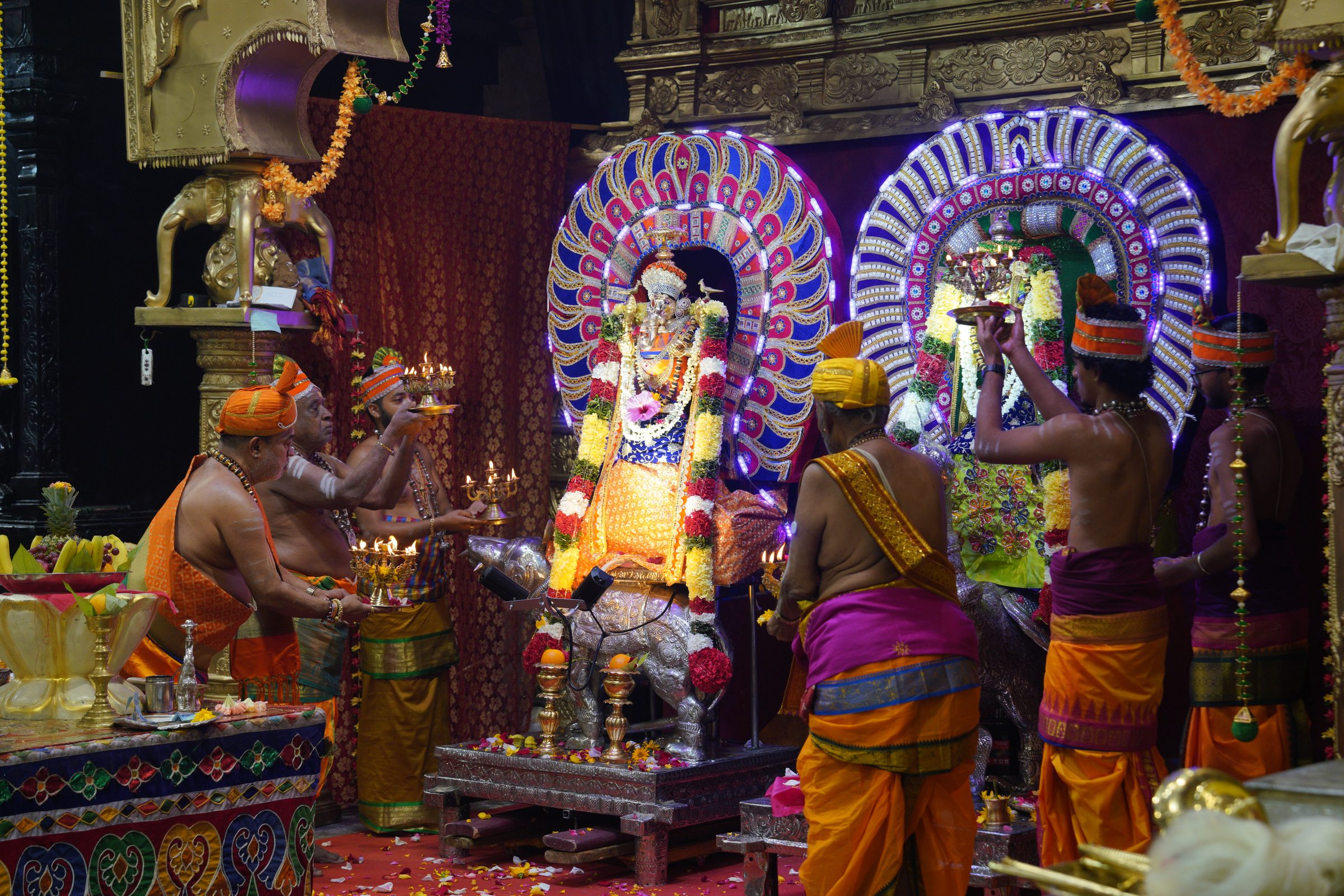 Festival 2026 photo