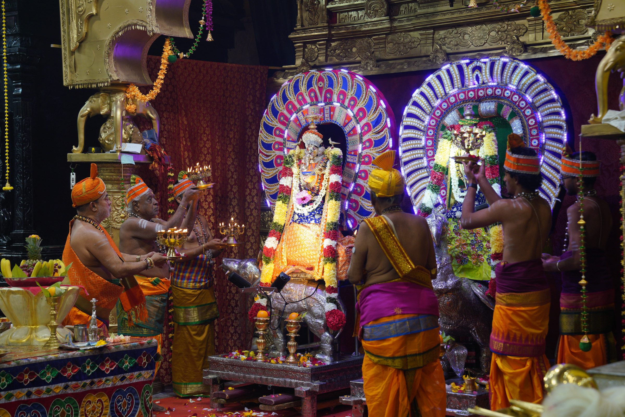 Festival 2026 photo