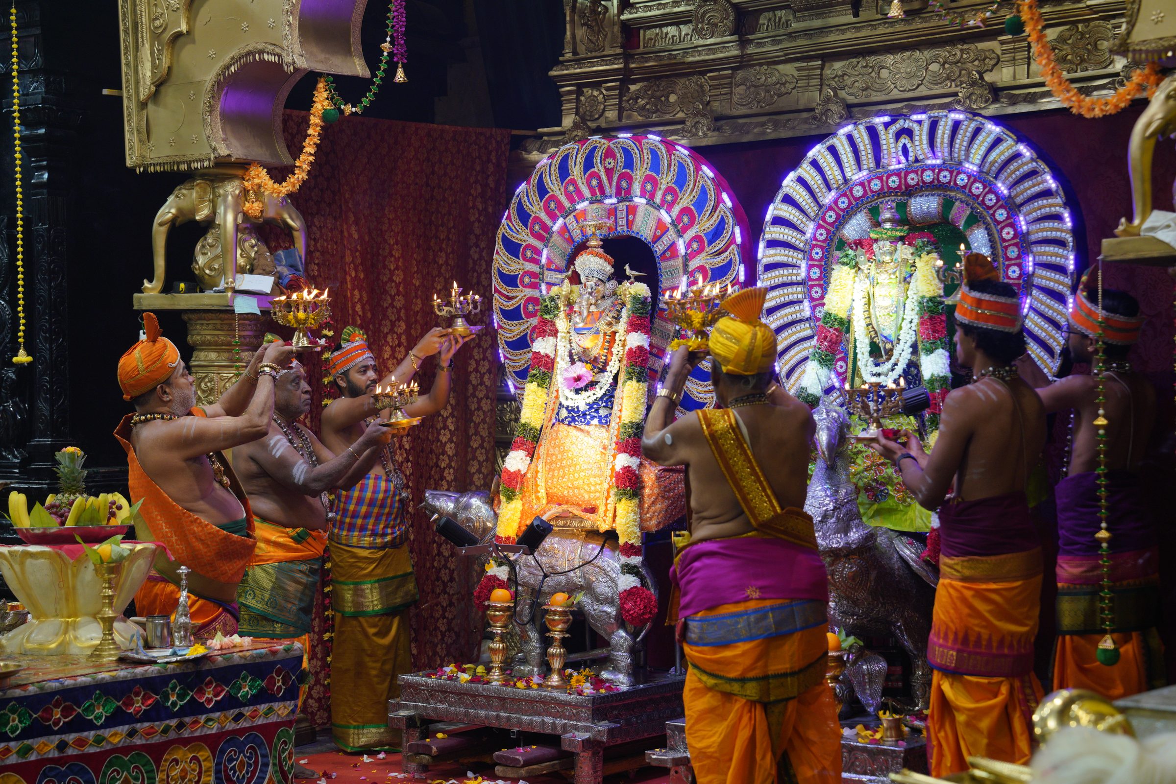 Festival 2026 photo