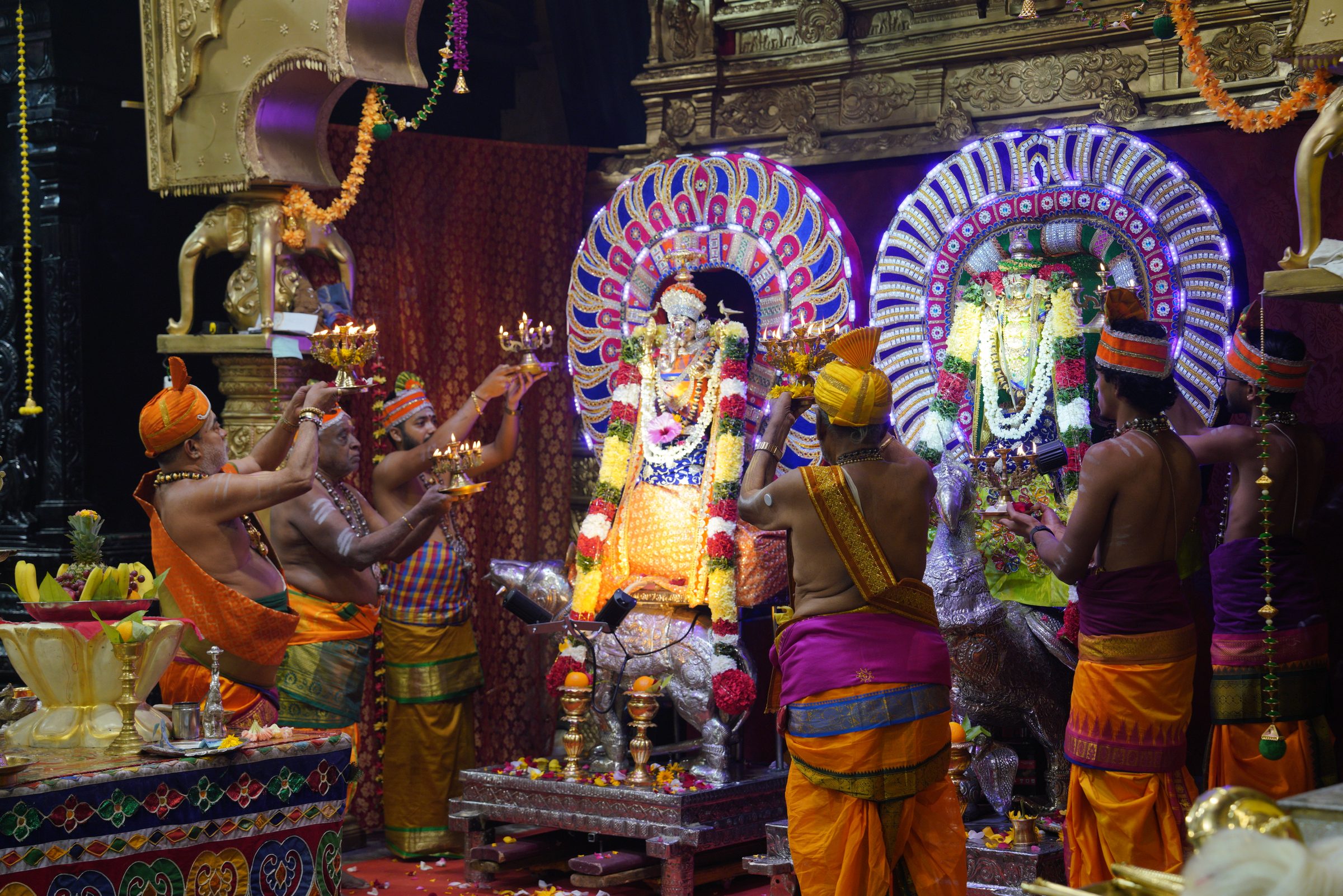 Festival 2026 photo