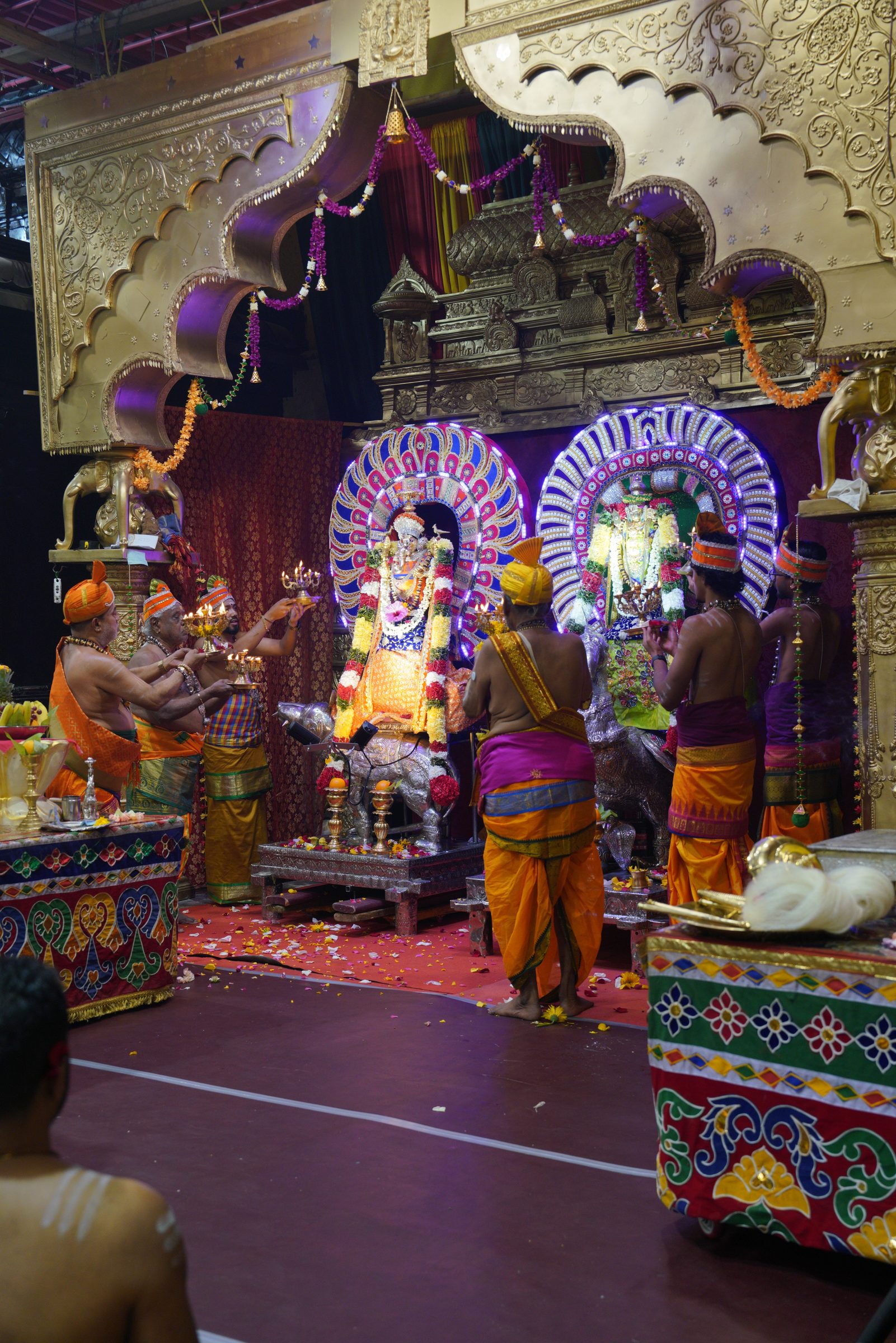 Festival 2026 photo