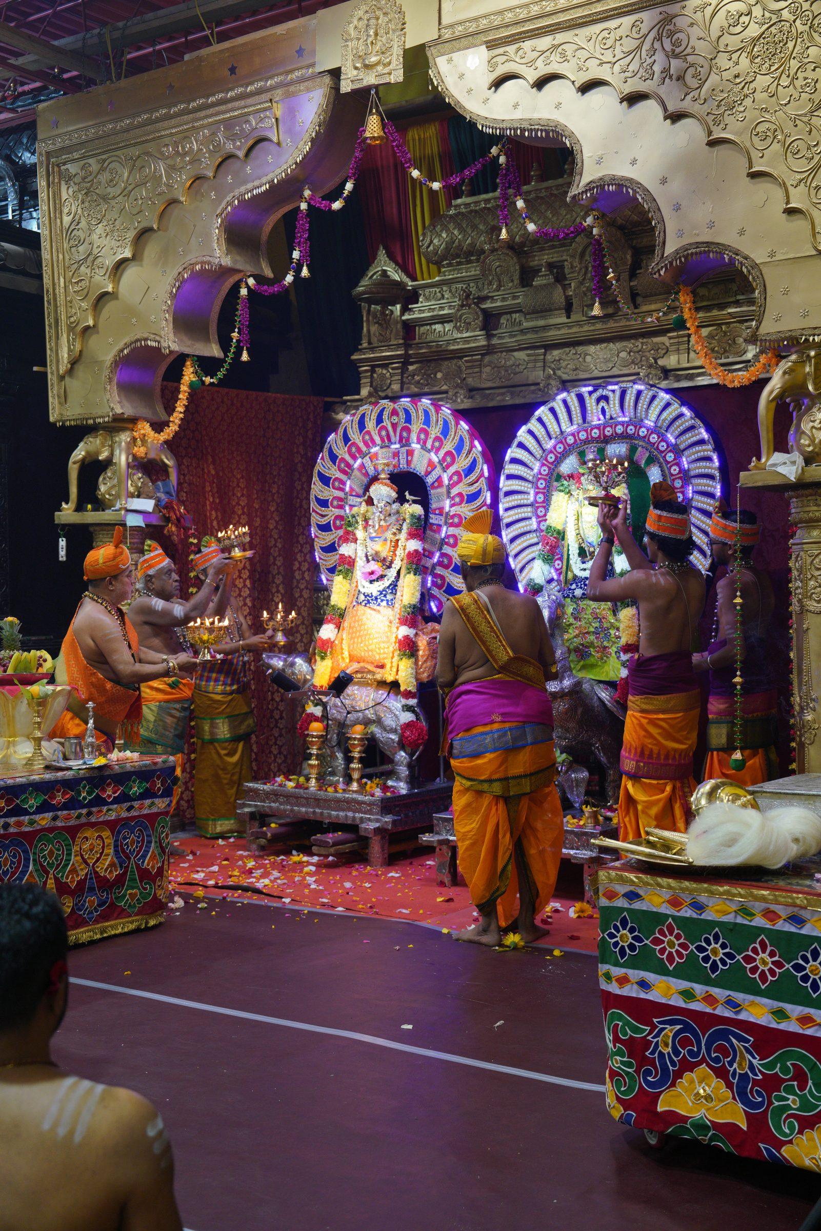 Festival 2026 photo