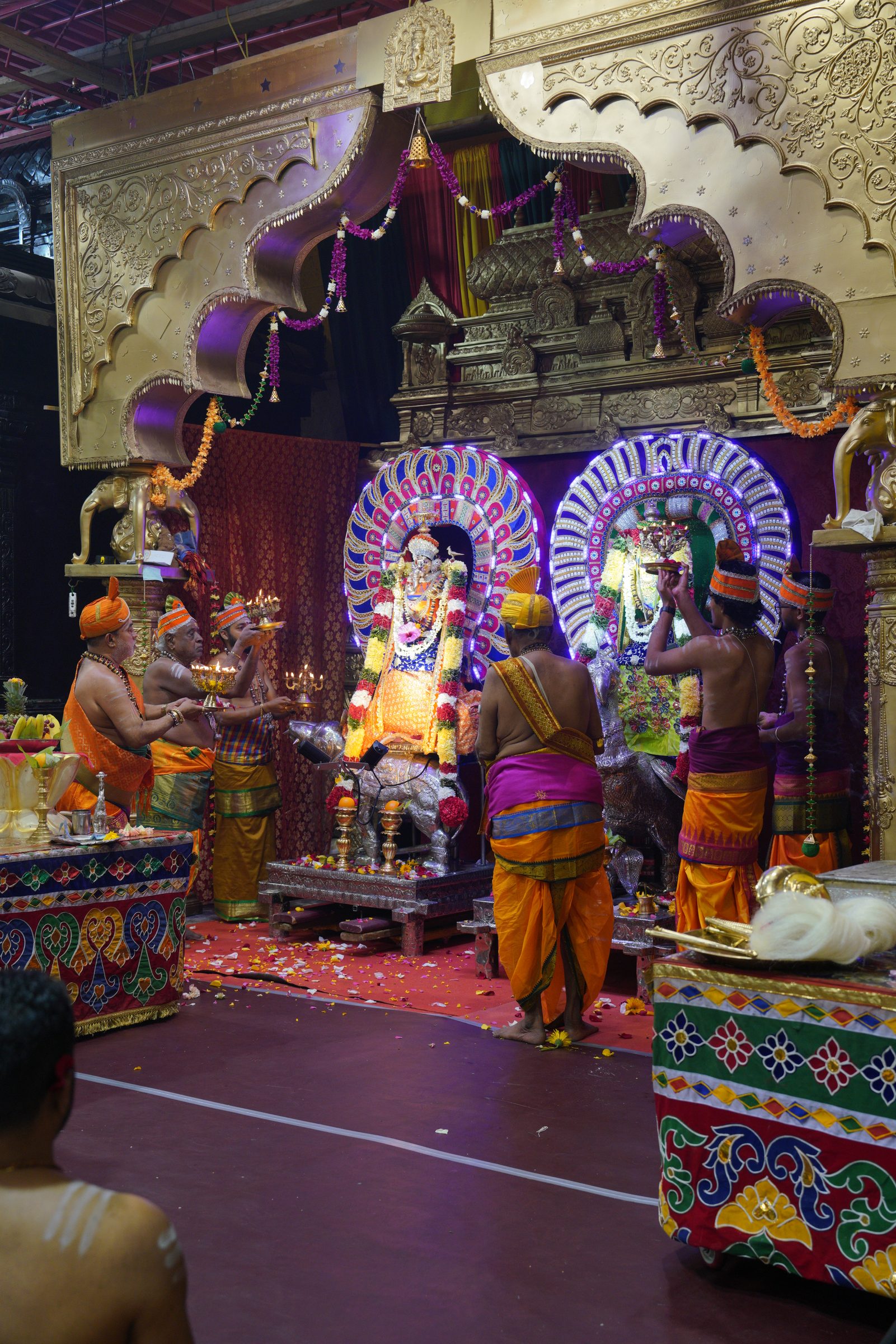 Festival 2026 photo