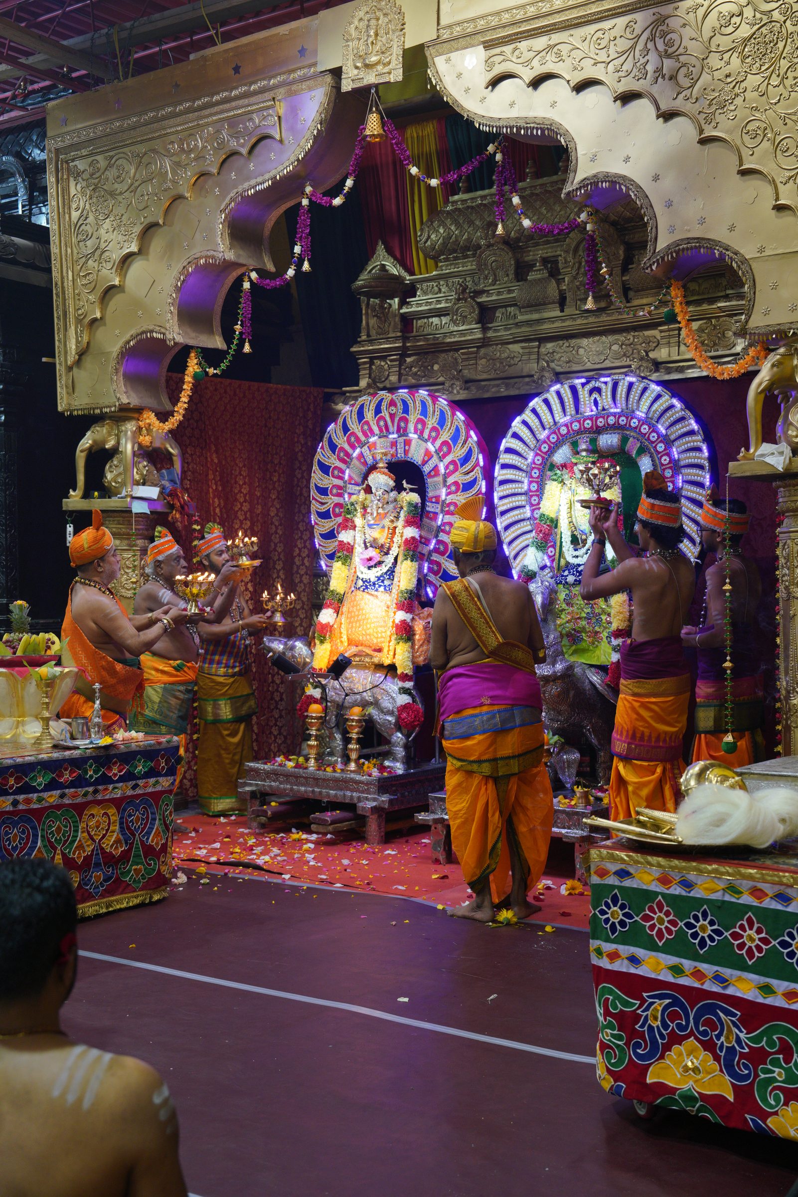 Festival 2026 photo