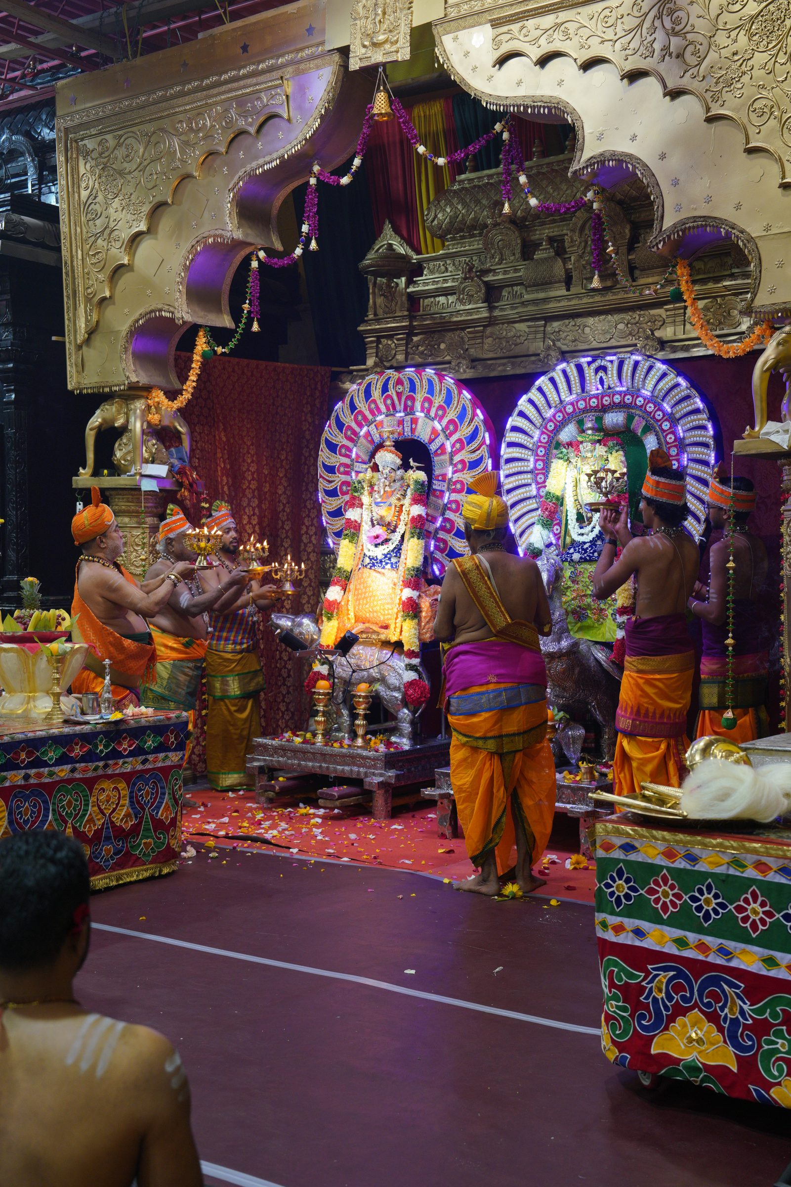 Festival 2026 photo