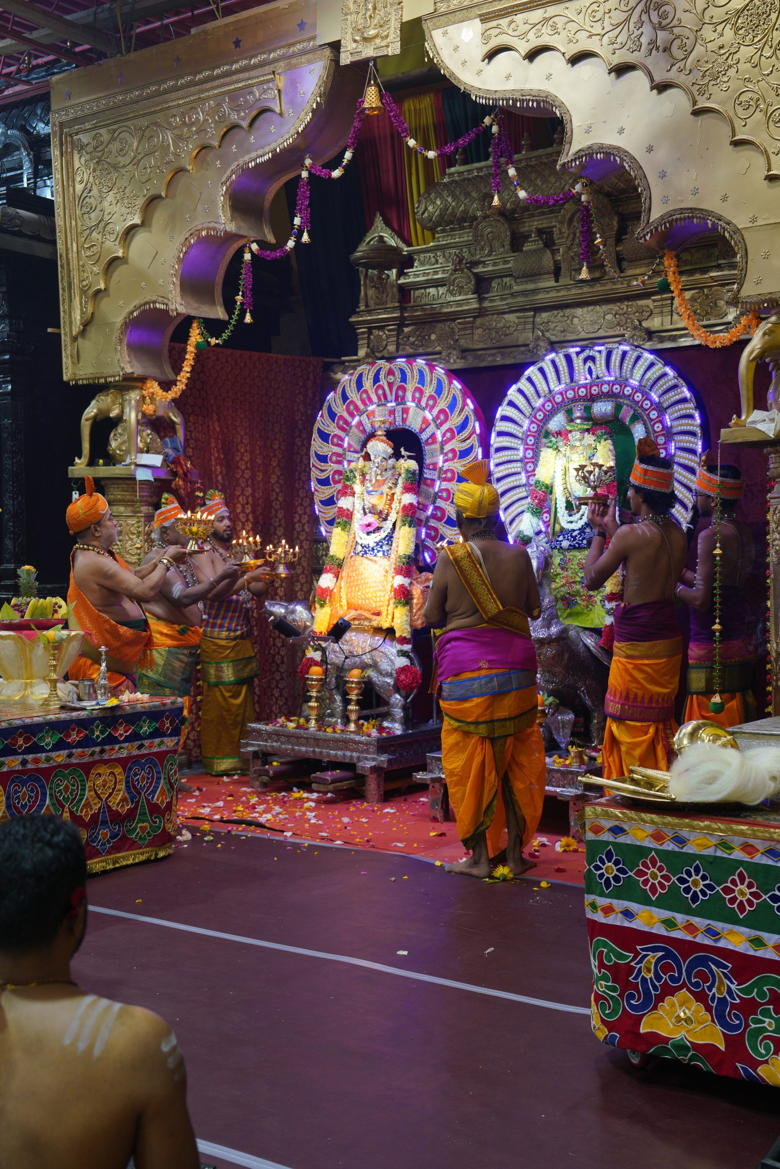 Festival 2026 photo