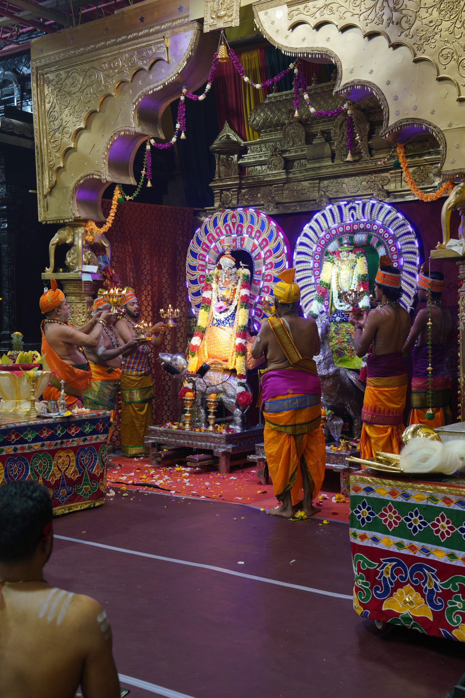Festival 2026 photo