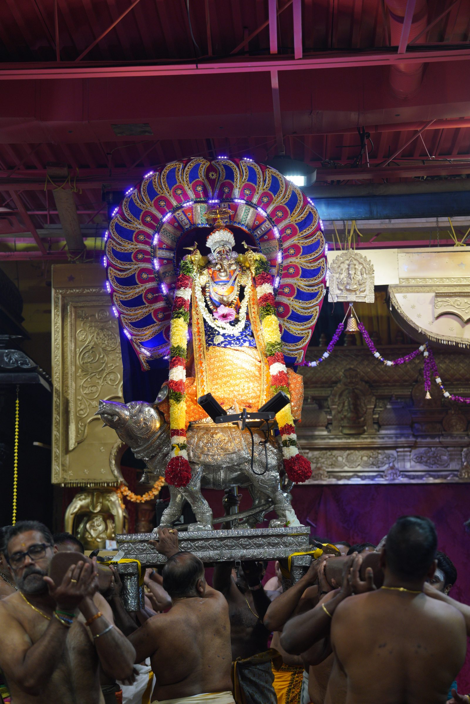 Festival 2026 photo