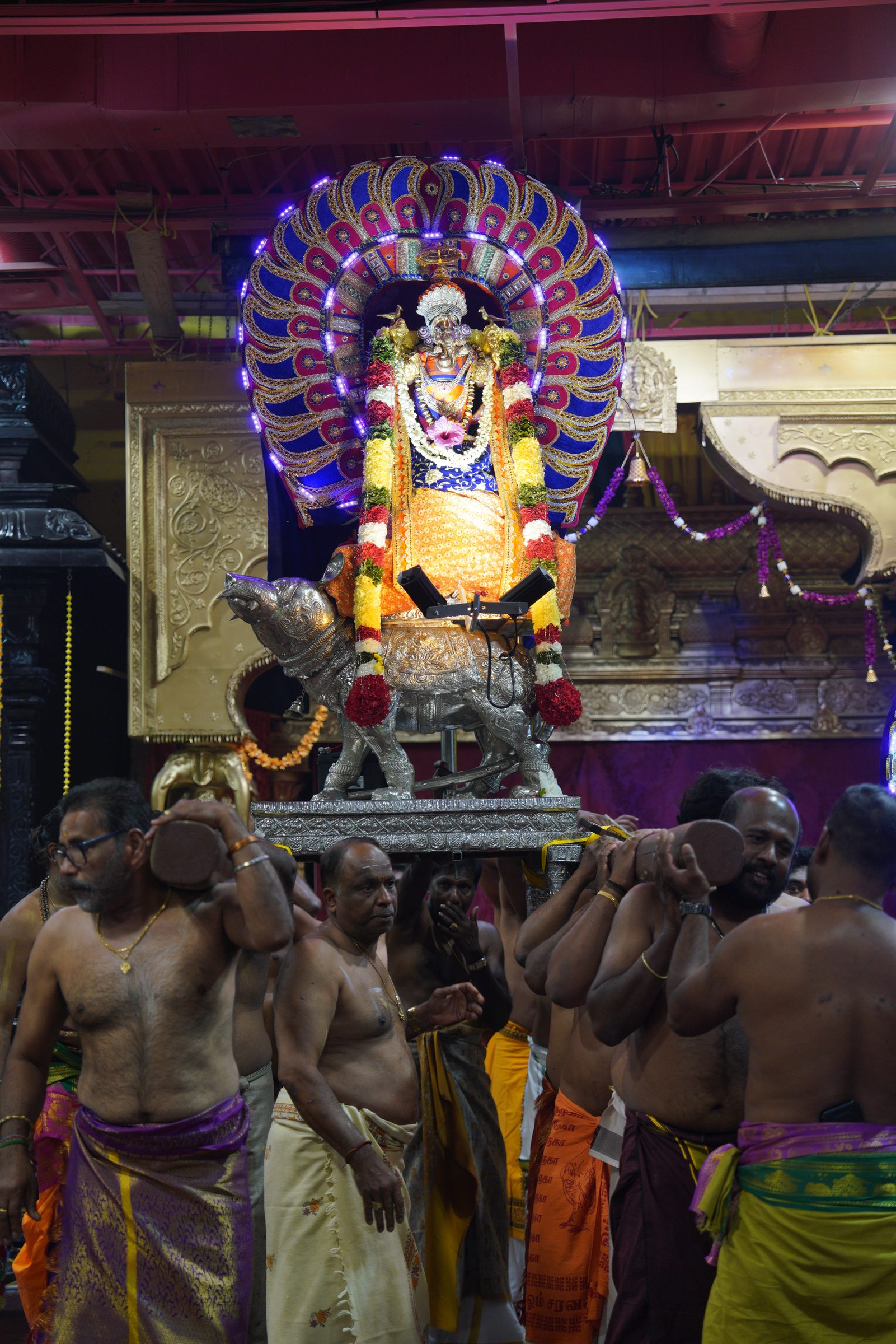 Festival 2026 photo