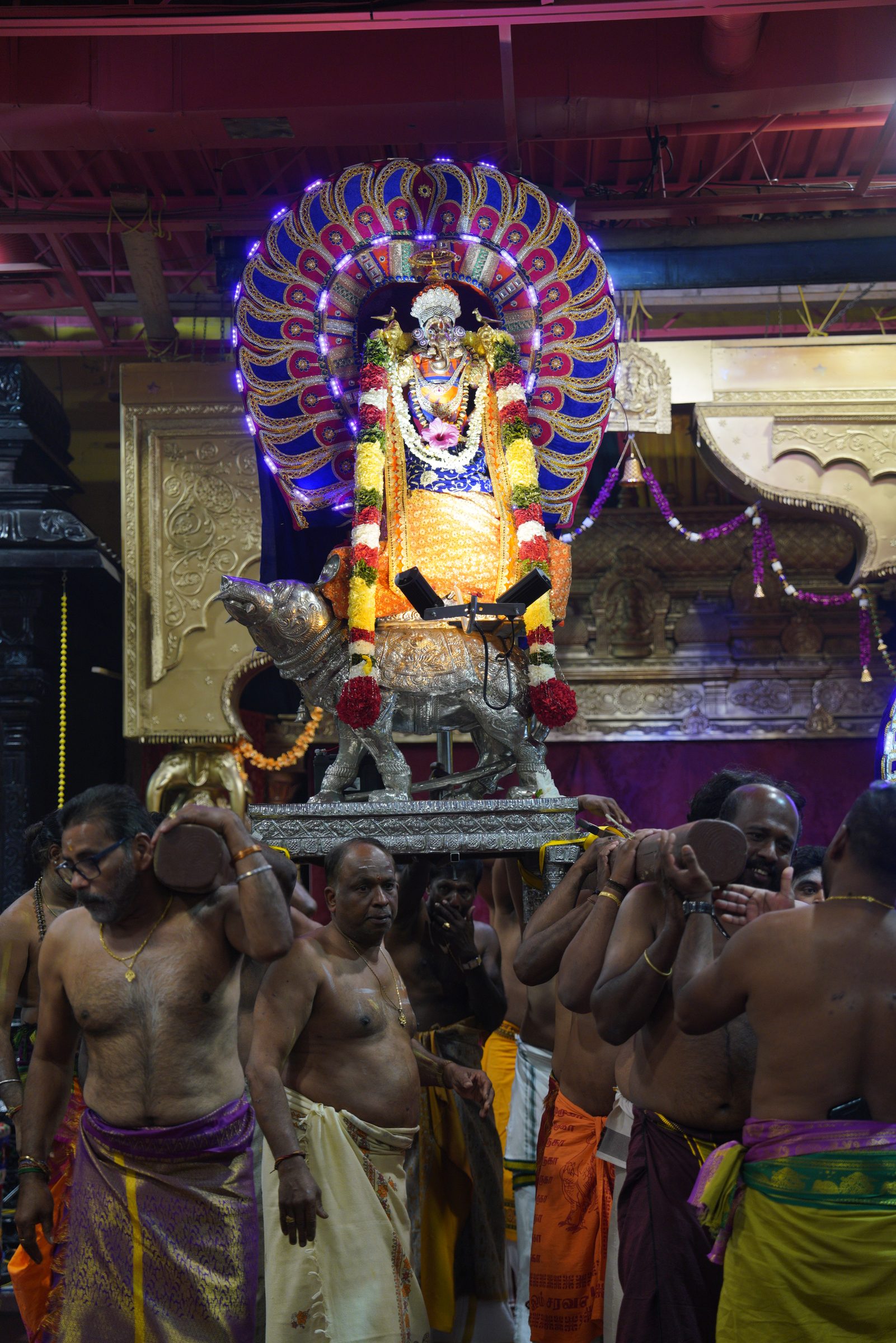 Festival 2026 photo