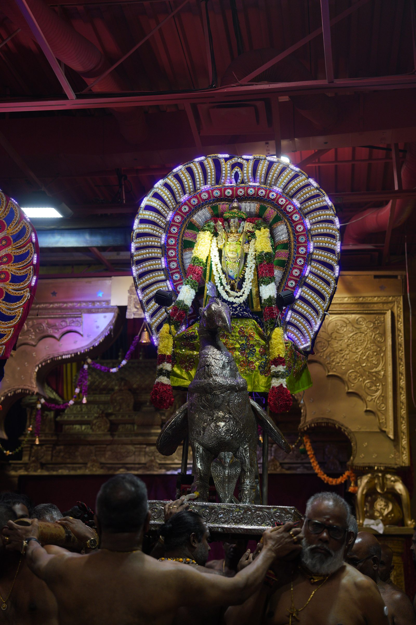 Festival 2026 photo