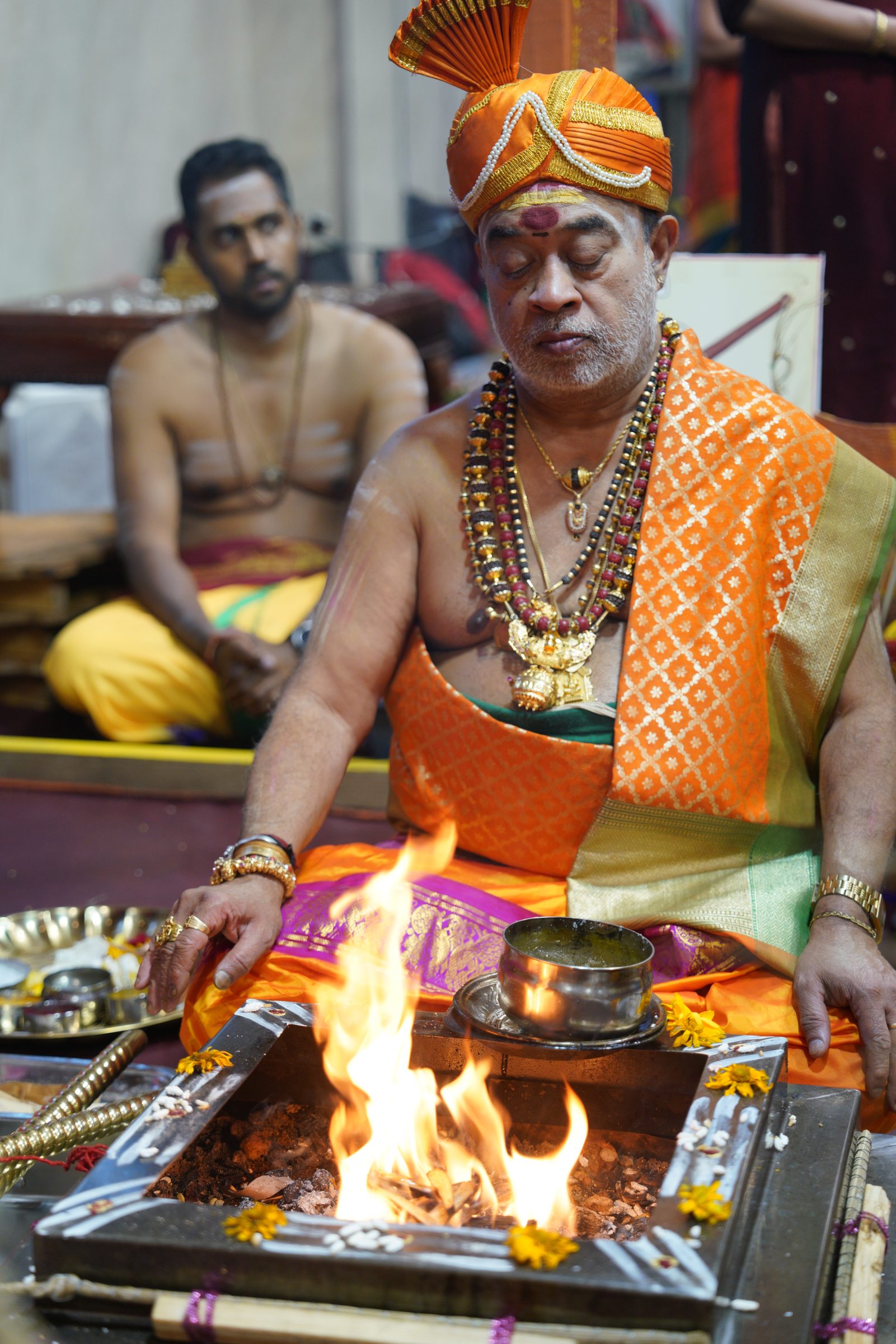 Festival 2026 photo