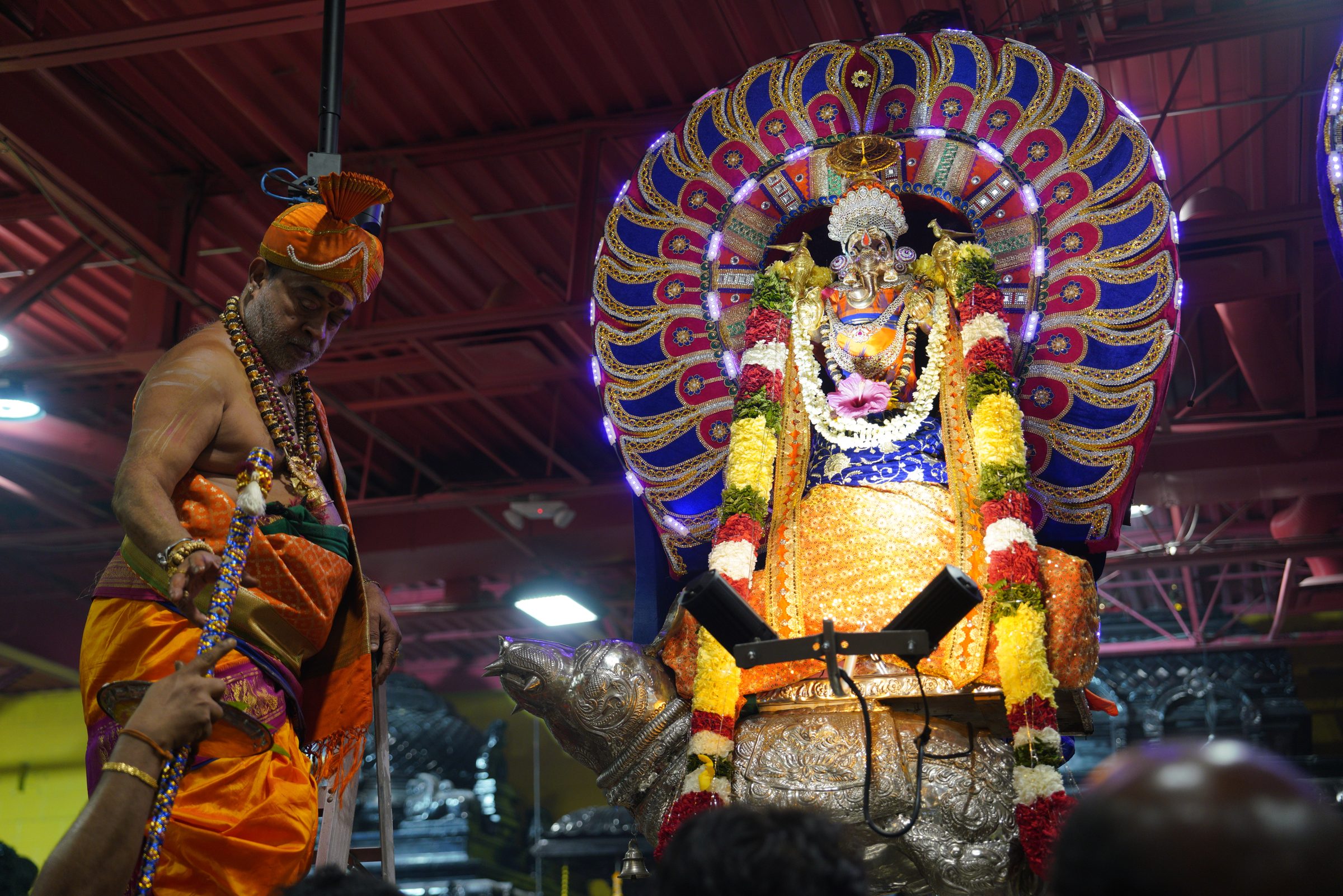 Festival 2026 photo