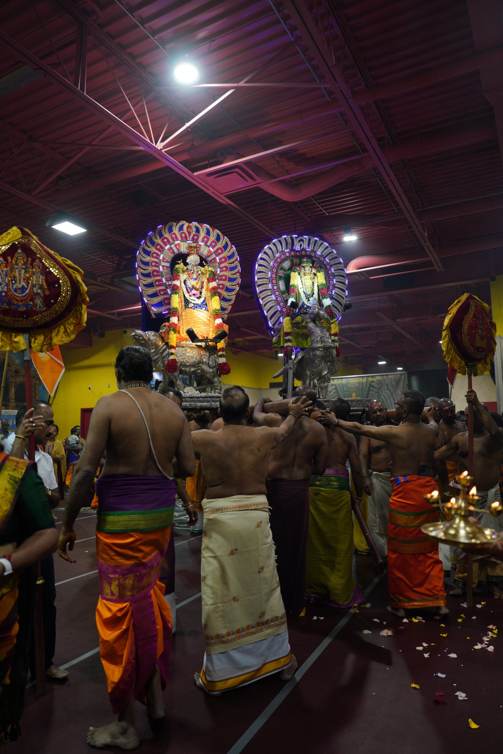 Festival 2026 photo