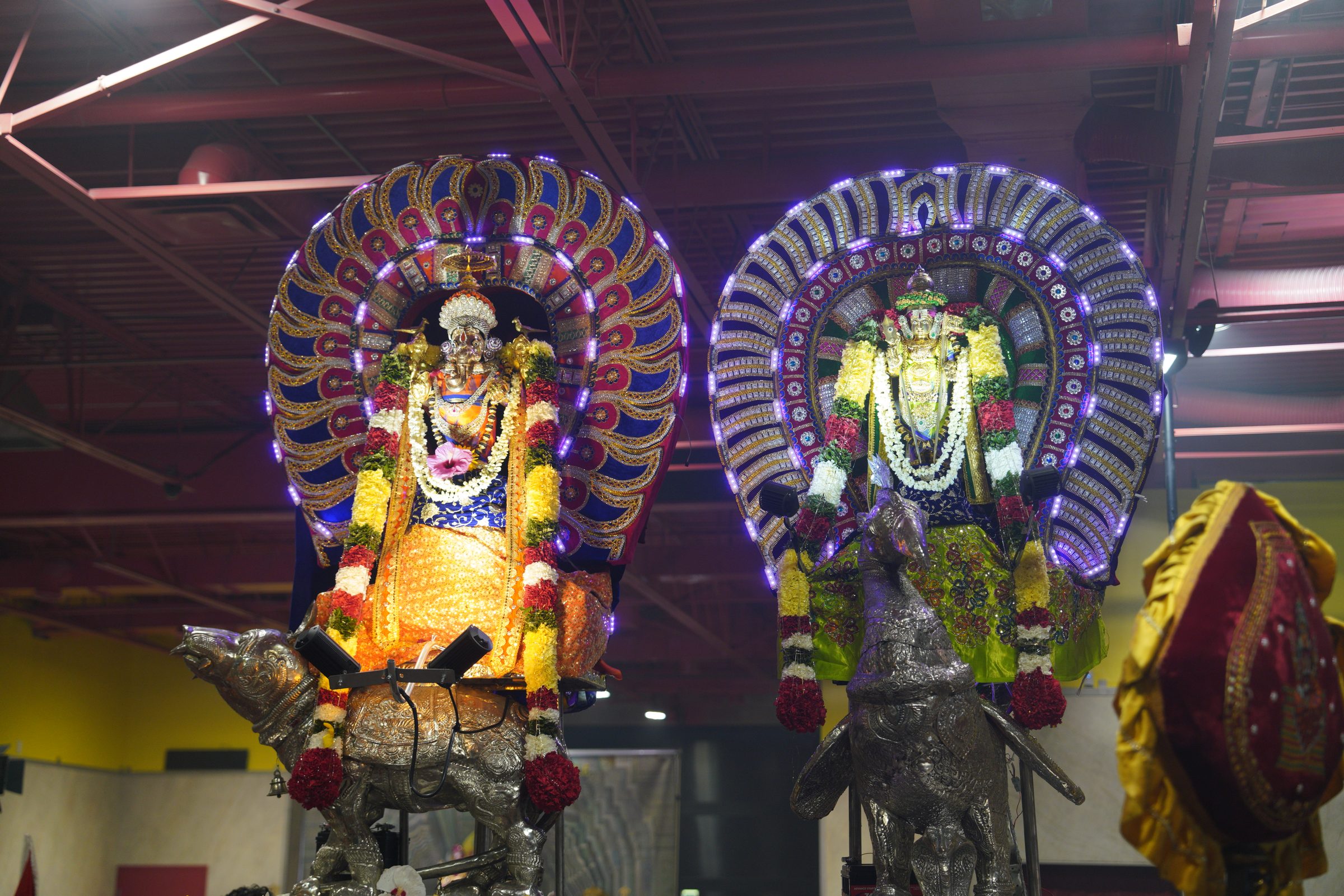 Festival 2026 photo