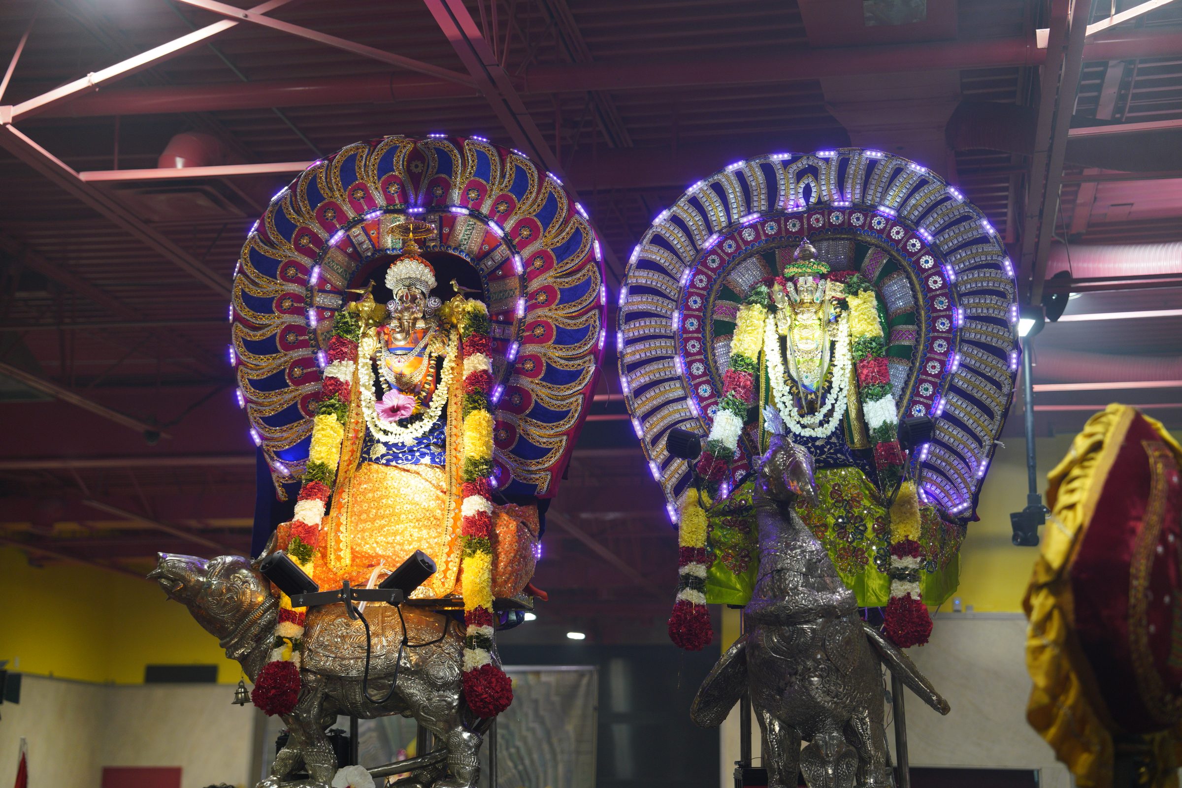 Festival 2026 photo