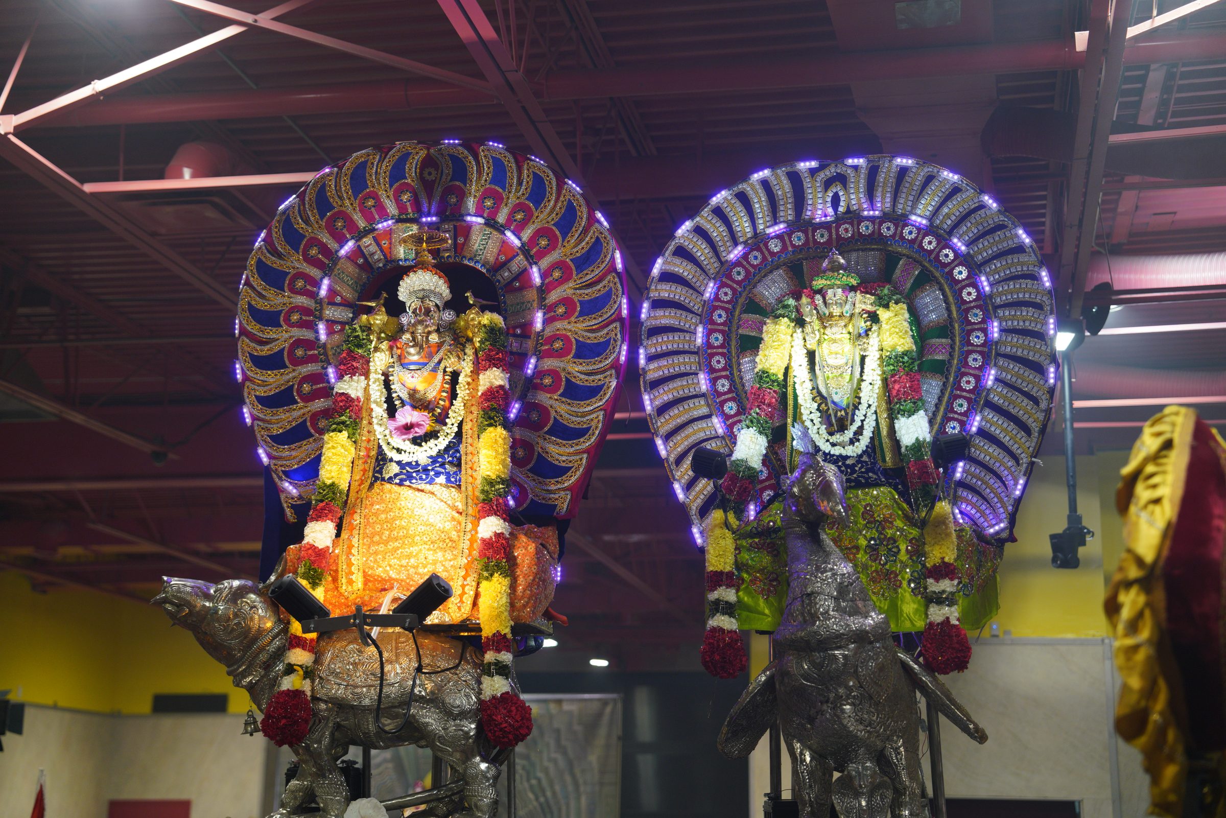 Festival 2026 photo