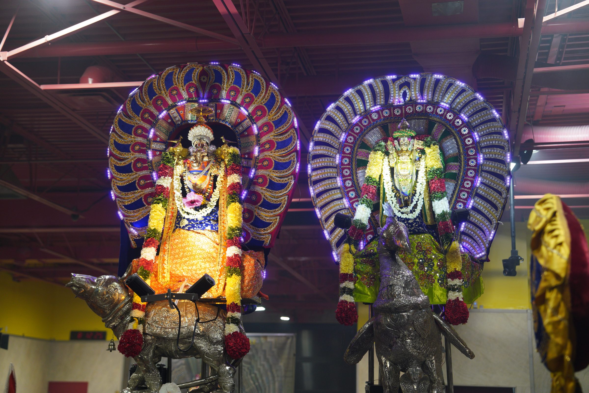 Festival 2026 photo