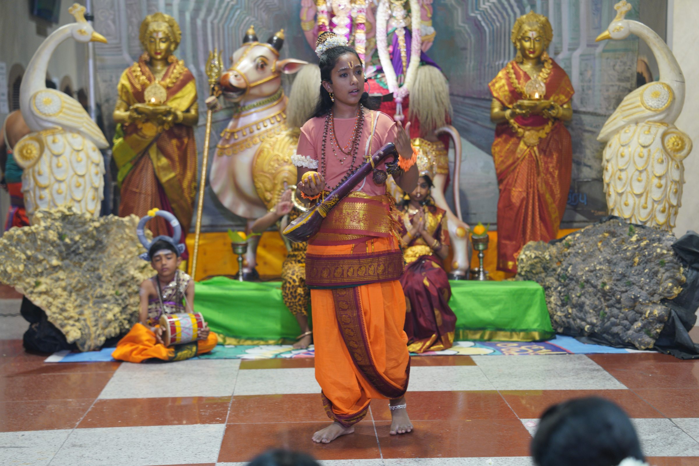 Festival 2026 photo
