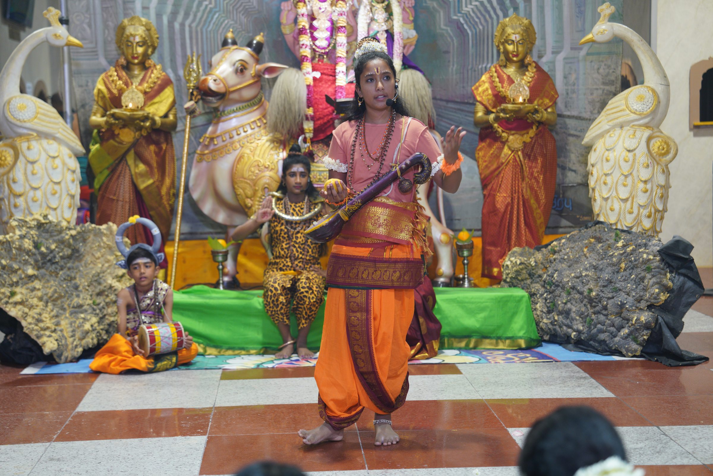 Festival 2026 photo
