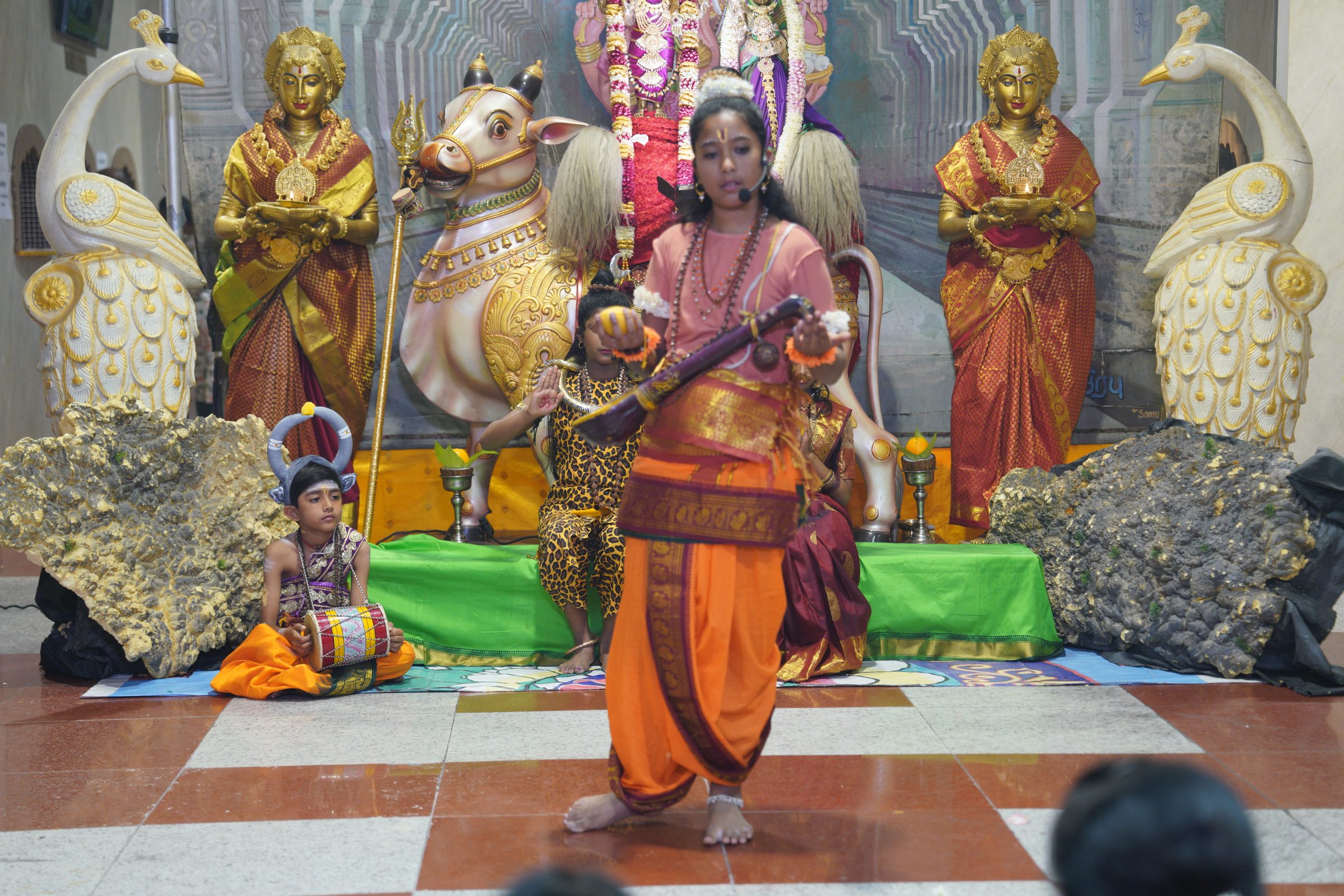 Festival 2026 photo