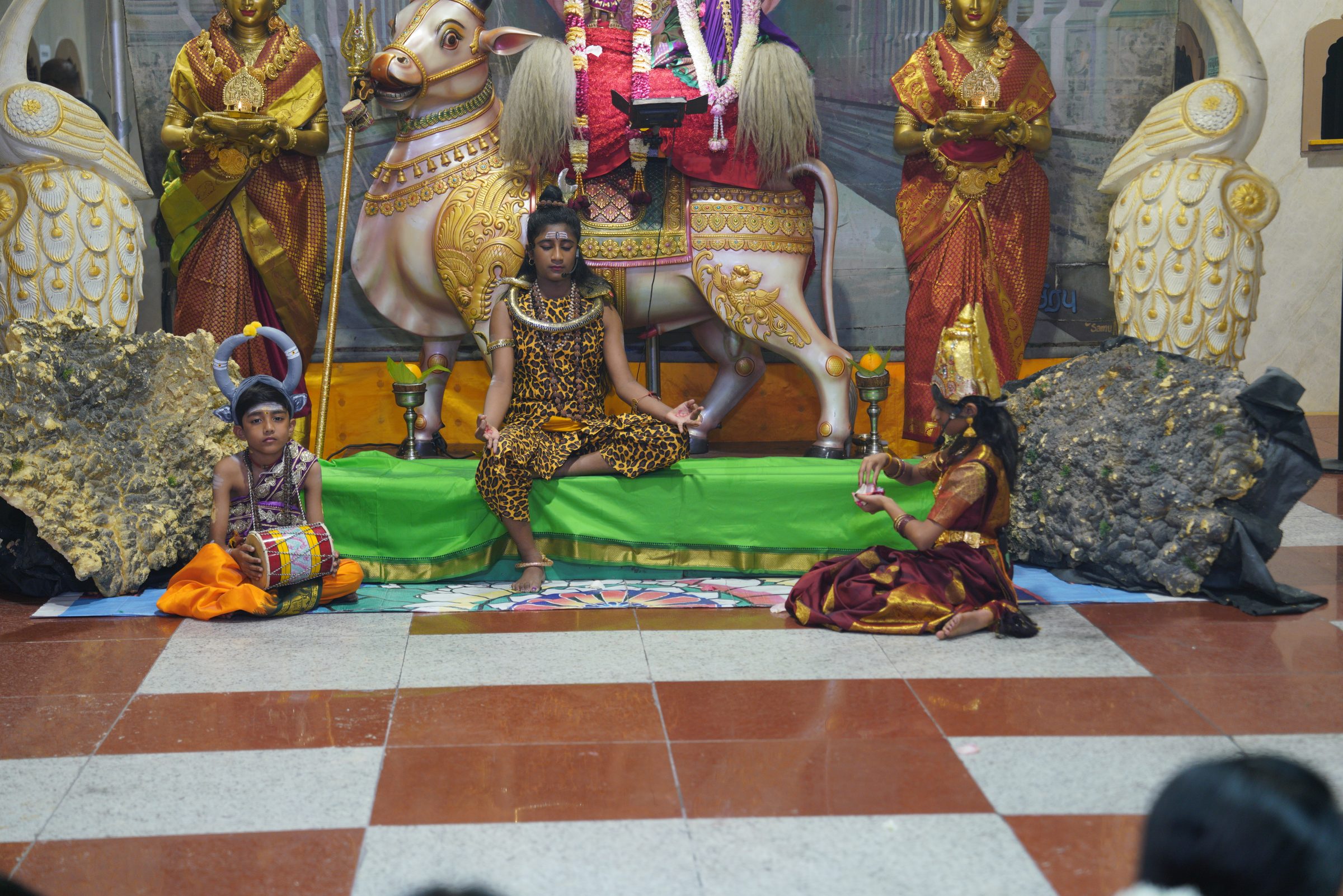 Festival 2026 photo