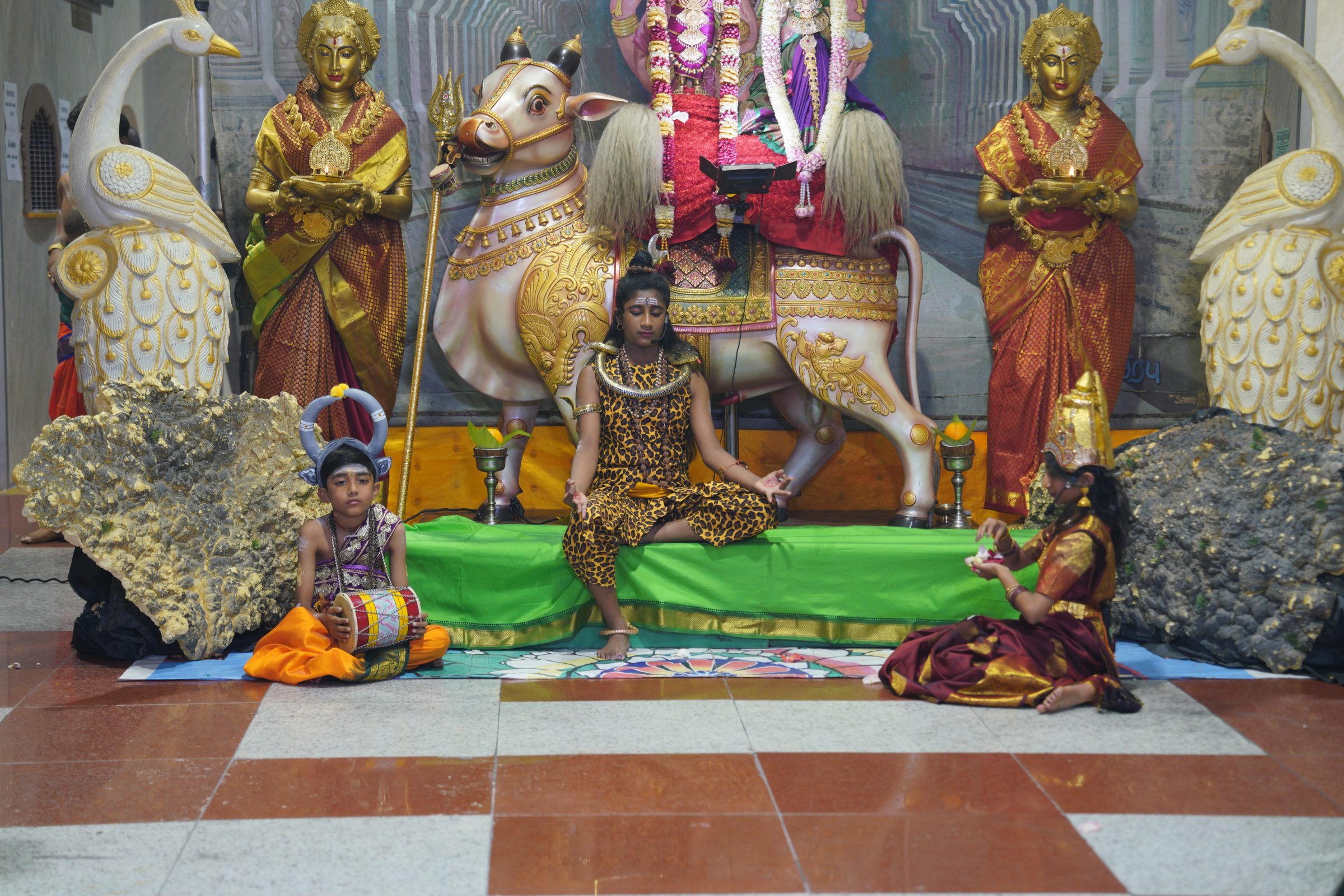 Festival 2026 photo