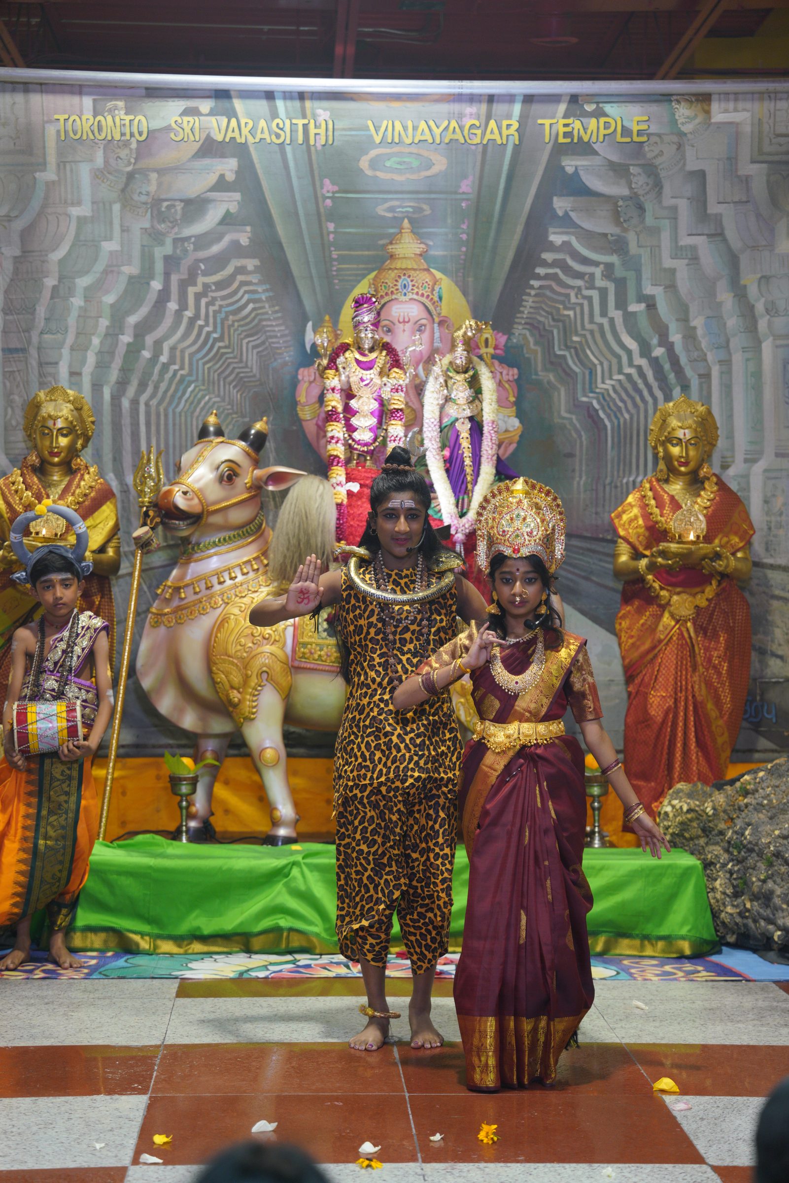 Festival 2026 photo