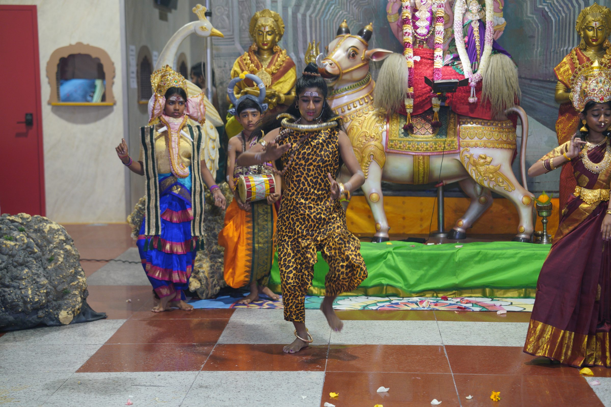 Festival 2026 photo