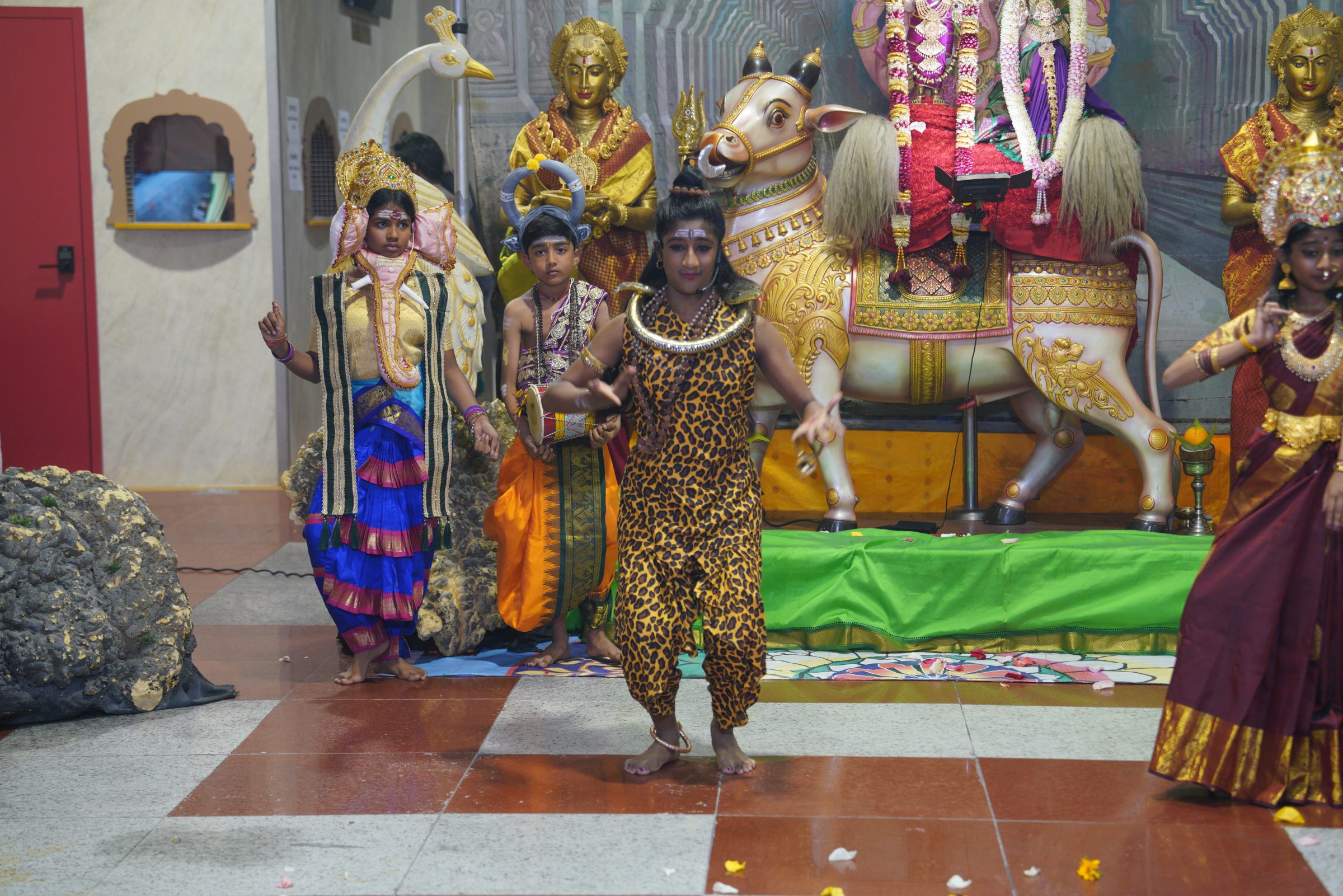 Festival 2026 photo